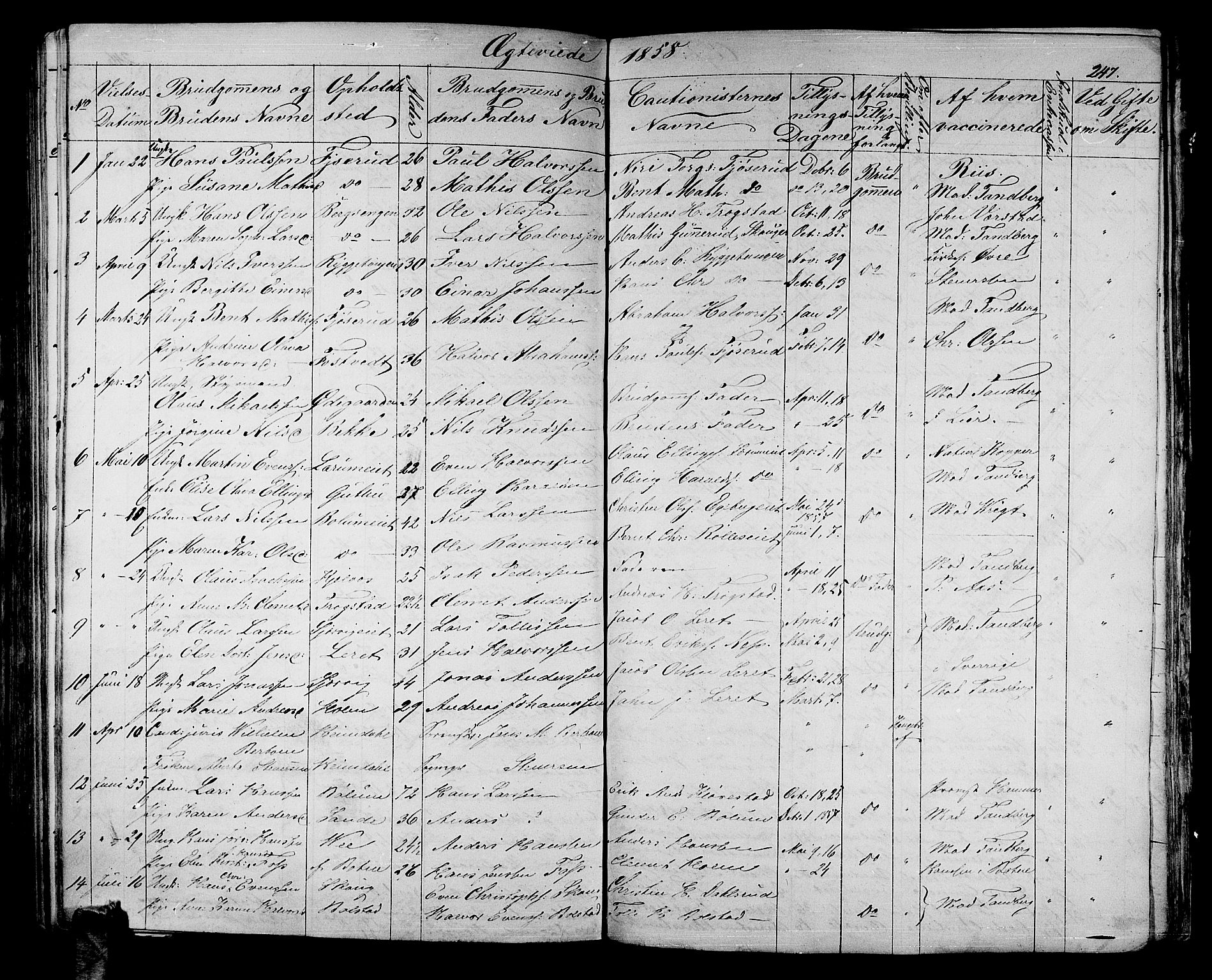 Sande Kirkebøker, AV/SAKO-A-53/G/Ga/L0002: Parish register (copy) no. 2, 1847-1863, p. 247