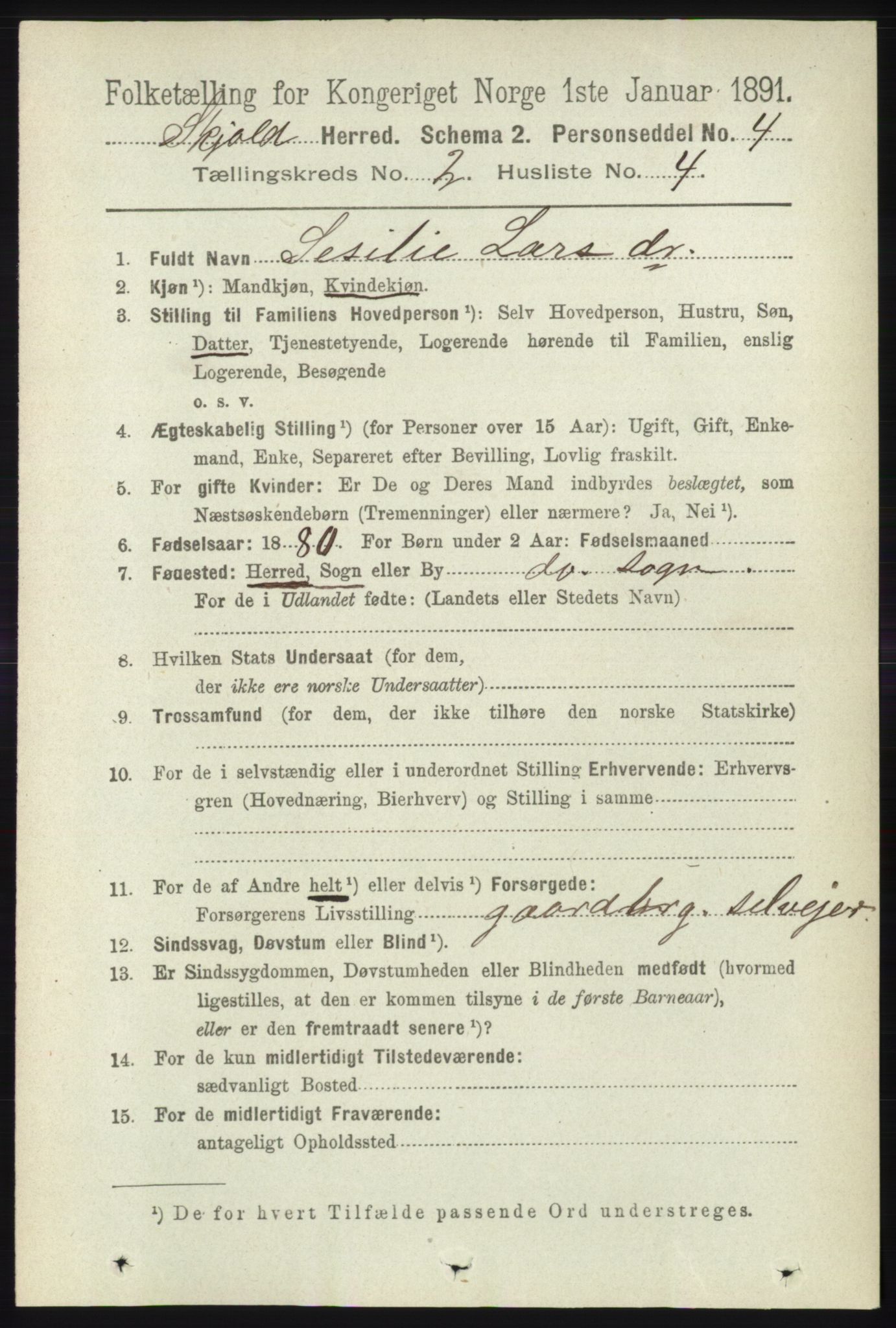 RA, 1891 census for 1154 Skjold, 1891, p. 302