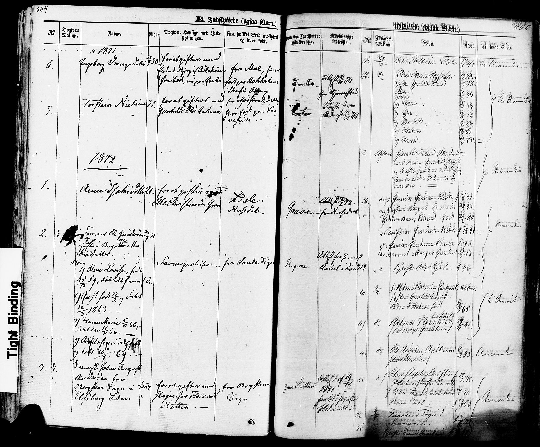 Seljord kirkebøker, SAKO/A-20/F/Fa/L0013: Parish register (official) no. I 13, 1866-1876, p. 664-665