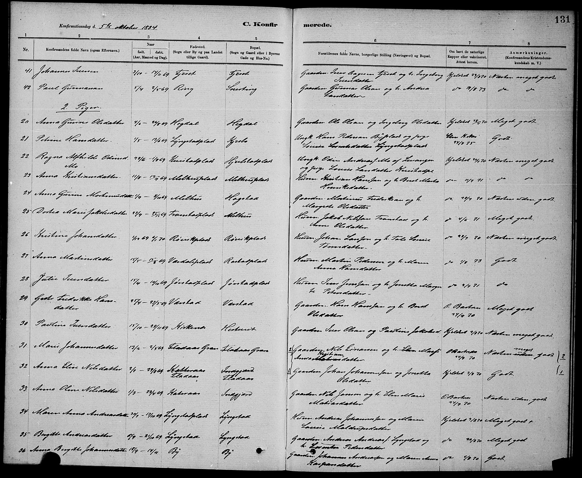 Ministerialprotokoller, klokkerbøker og fødselsregistre - Nord-Trøndelag, SAT/A-1458/730/L0301: Parish register (copy) no. 730C04, 1880-1897, p. 131