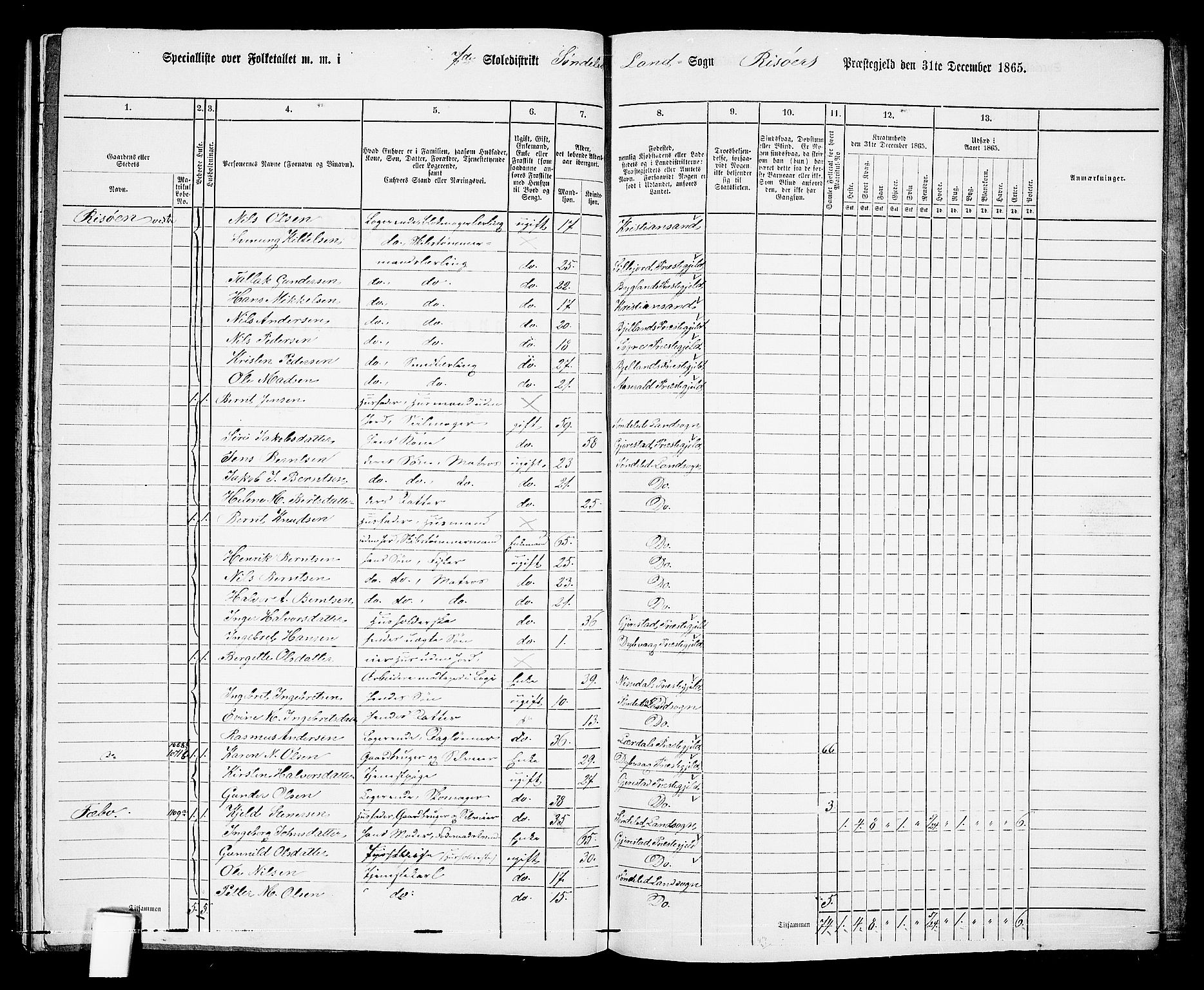 RA, 1865 census for Risør/Søndeled, 1865, p. 142