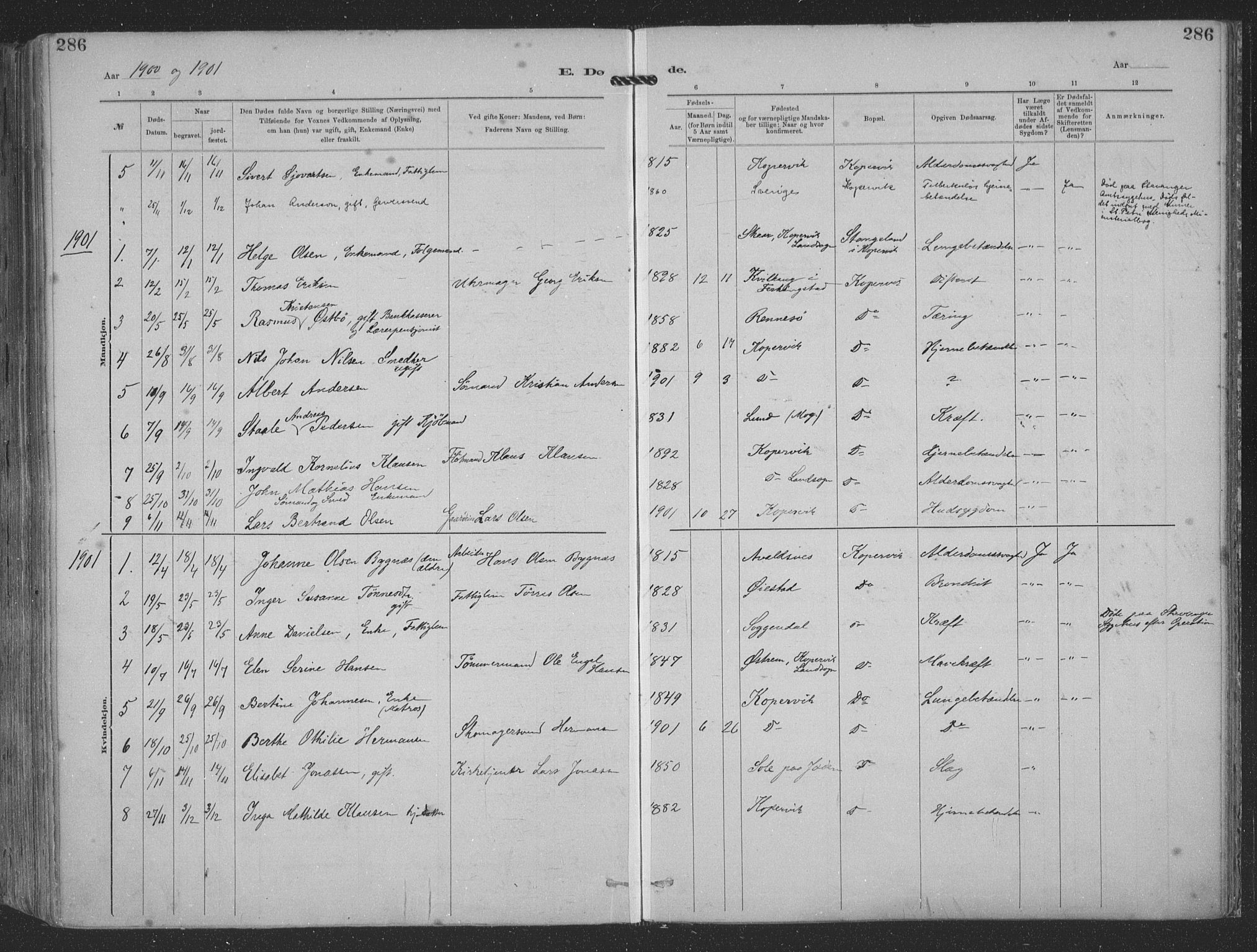 Kopervik sokneprestkontor, SAST/A-101850/H/Ha/Haa/L0001: Parish register (official) no. A 1, 1880-1919, p. 286