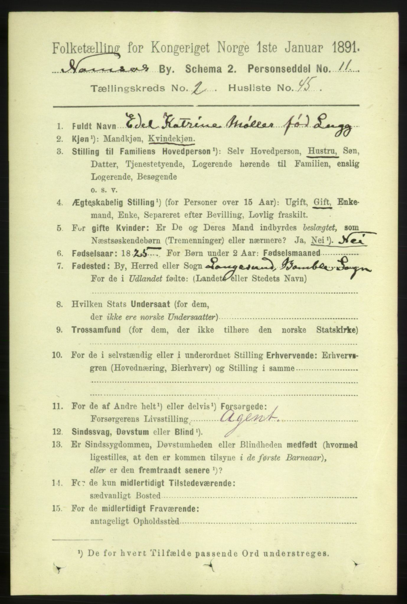 RA, 1891 census for 1703 Namsos, 1891, p. 1038