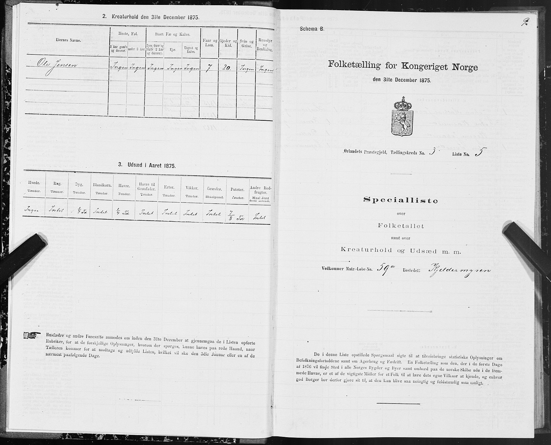 SAT, 1875 census for 1621P Ørland, 1875, p. 2009
