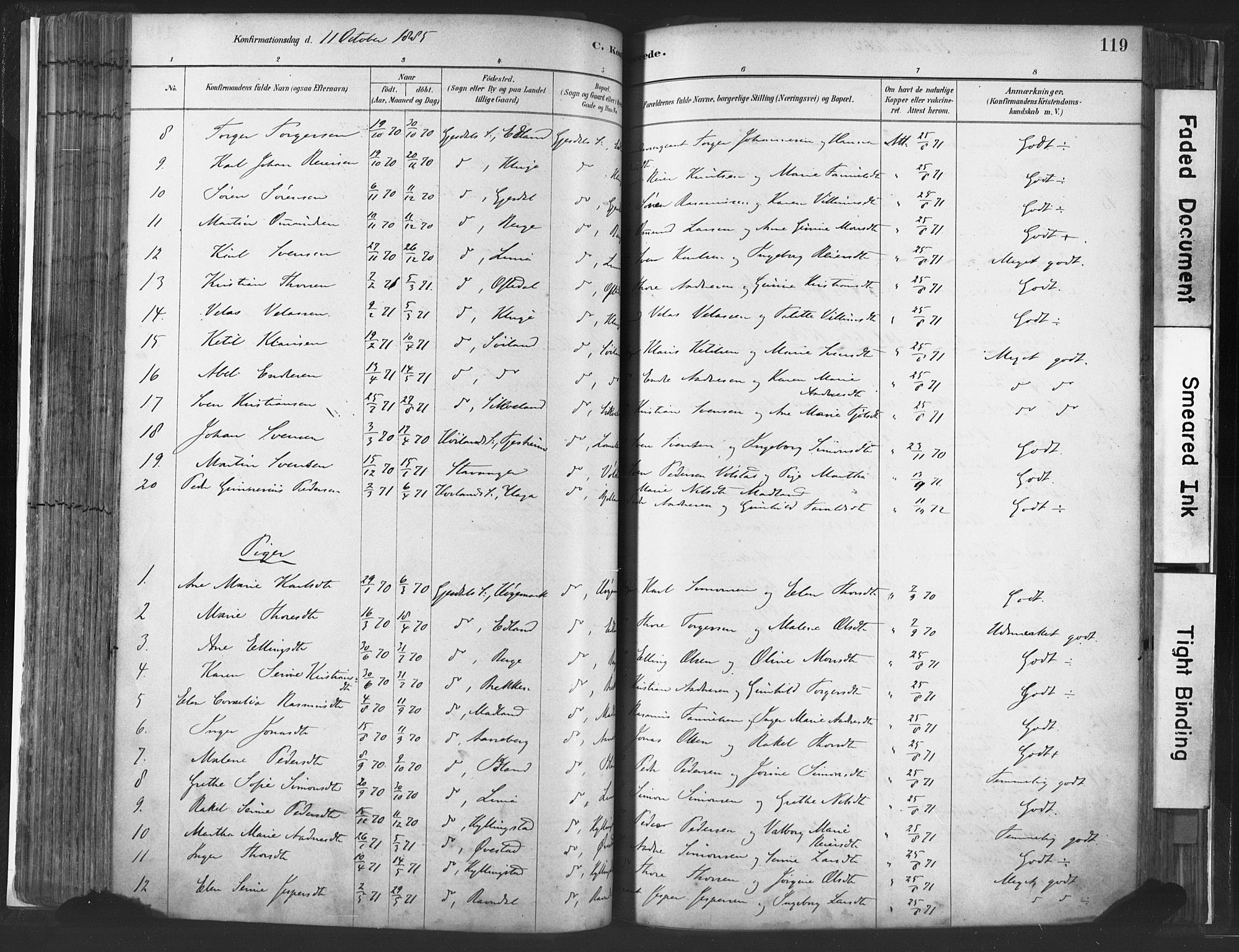 Lye sokneprestkontor, AV/SAST-A-101794/001/30BA/L0010: Parish register (official) no. A 10, 1881-1896, p. 119