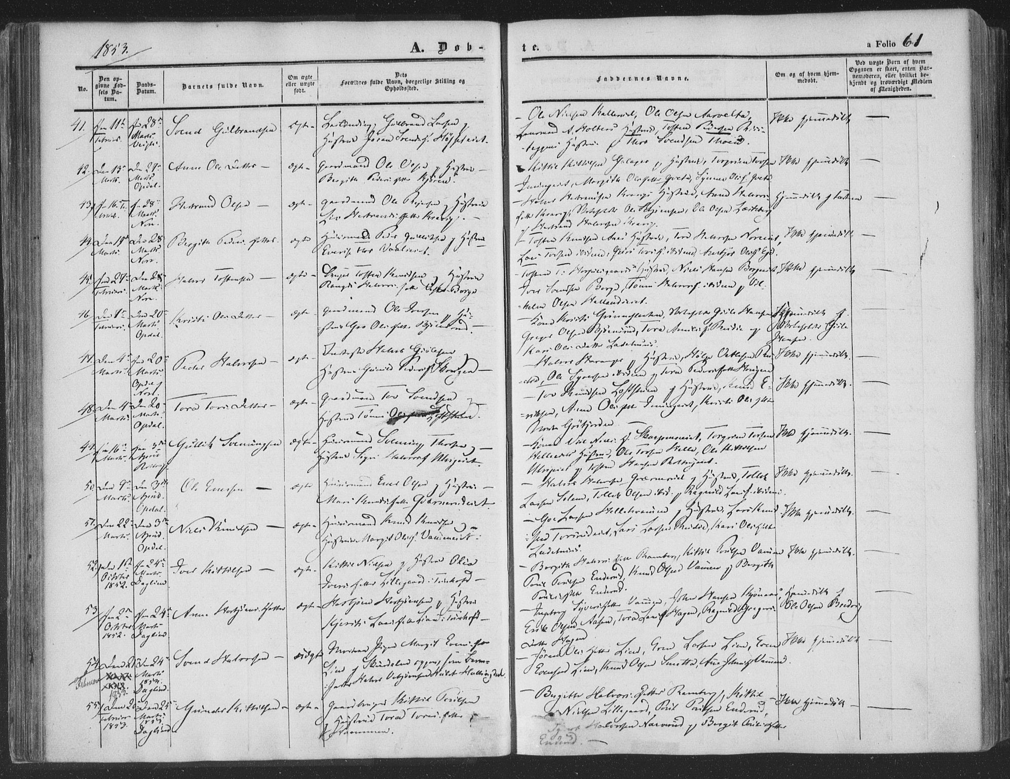 Rollag kirkebøker, AV/SAKO-A-240/F/Fa/L0008: Parish register (official) no. I 8, 1847-1860, p. 61