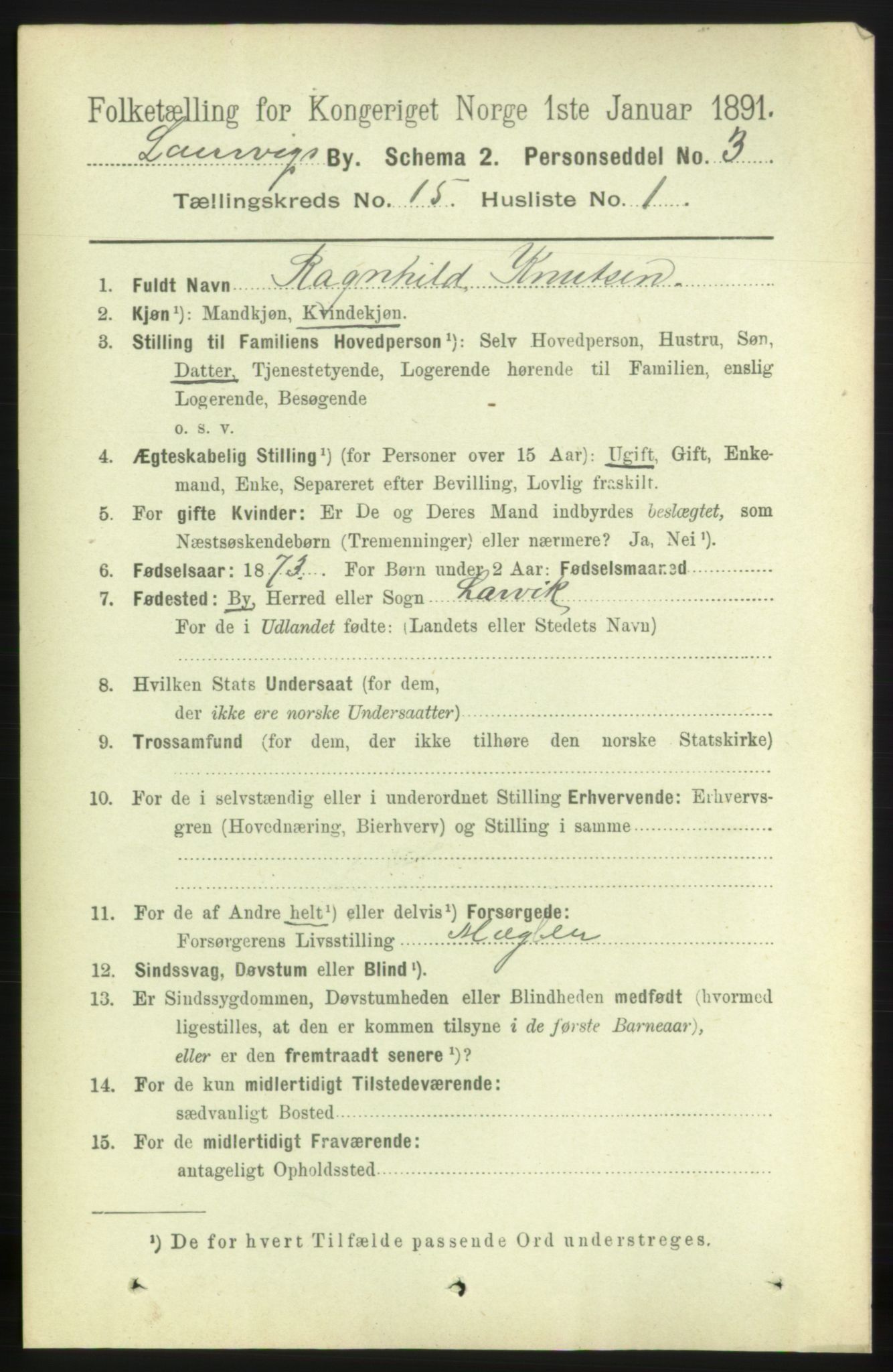 RA, 1891 census for 0707 Larvik, 1891, p. 11331