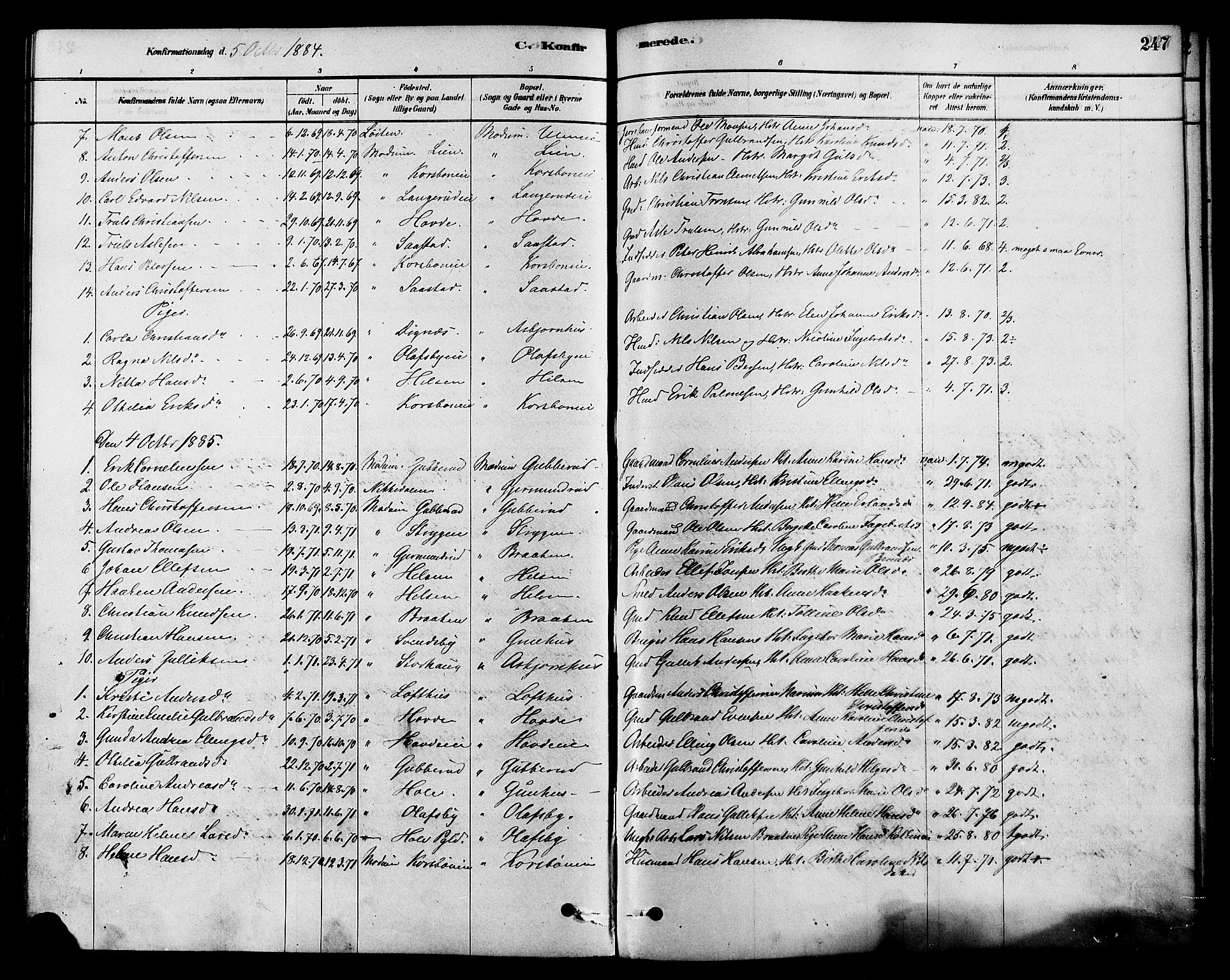 Modum kirkebøker, AV/SAKO-A-234/F/Fa/L0015: Parish register (official) no. 15 /2, 1877-1889, p. 247