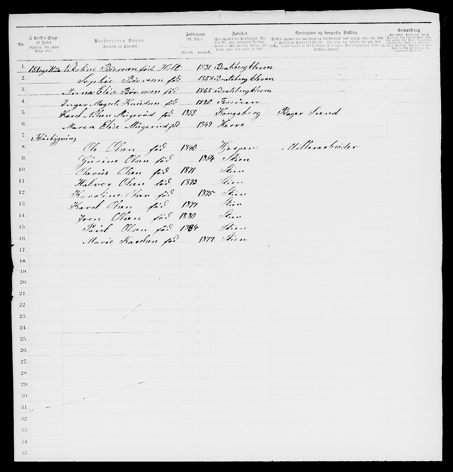 SAKO, 1885 census for 0806 Skien, 1885, p. 816