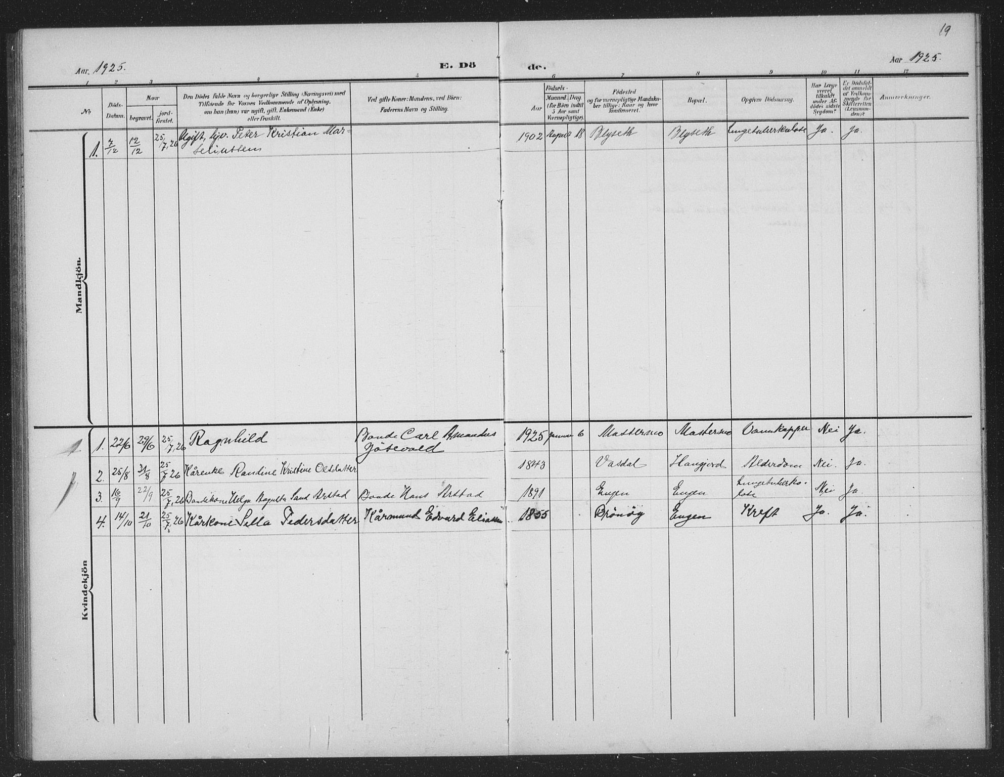 Ministerialprotokoller, klokkerbøker og fødselsregistre - Nordland, AV/SAT-A-1459/833/L0502: Parish register (copy) no. 833C01, 1906-1934, p. 19