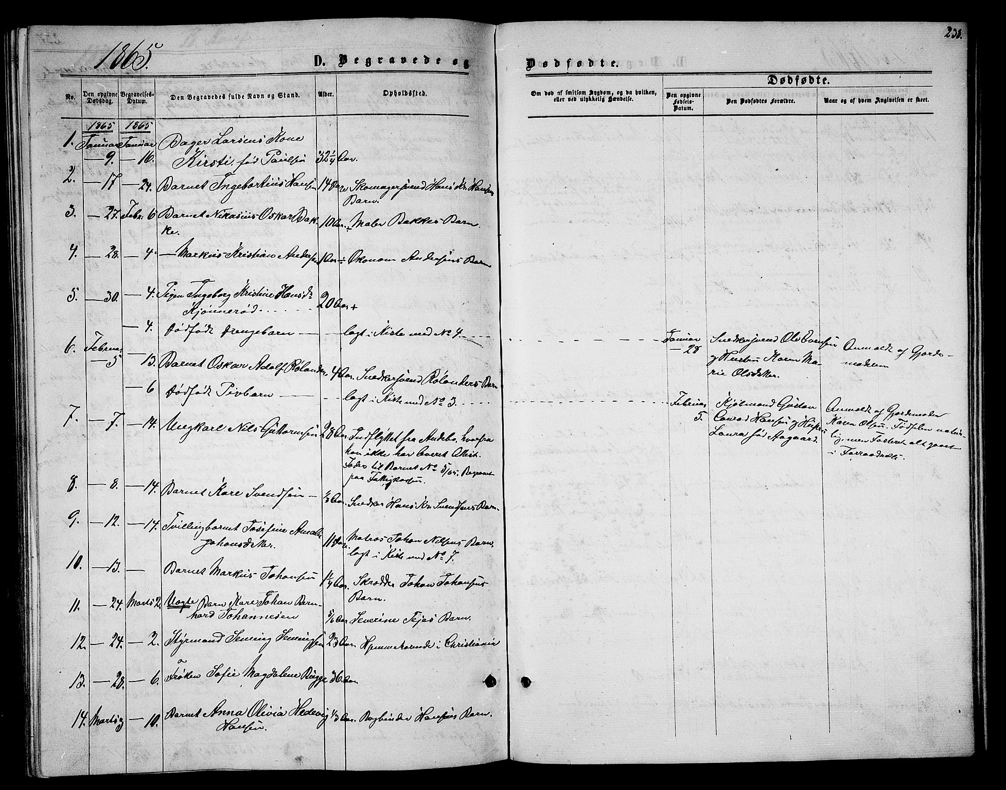 Tønsberg kirkebøker, SAKO/A-330/G/Ga/L0004: Parish register (copy) no. 4, 1865-1874, p. 238