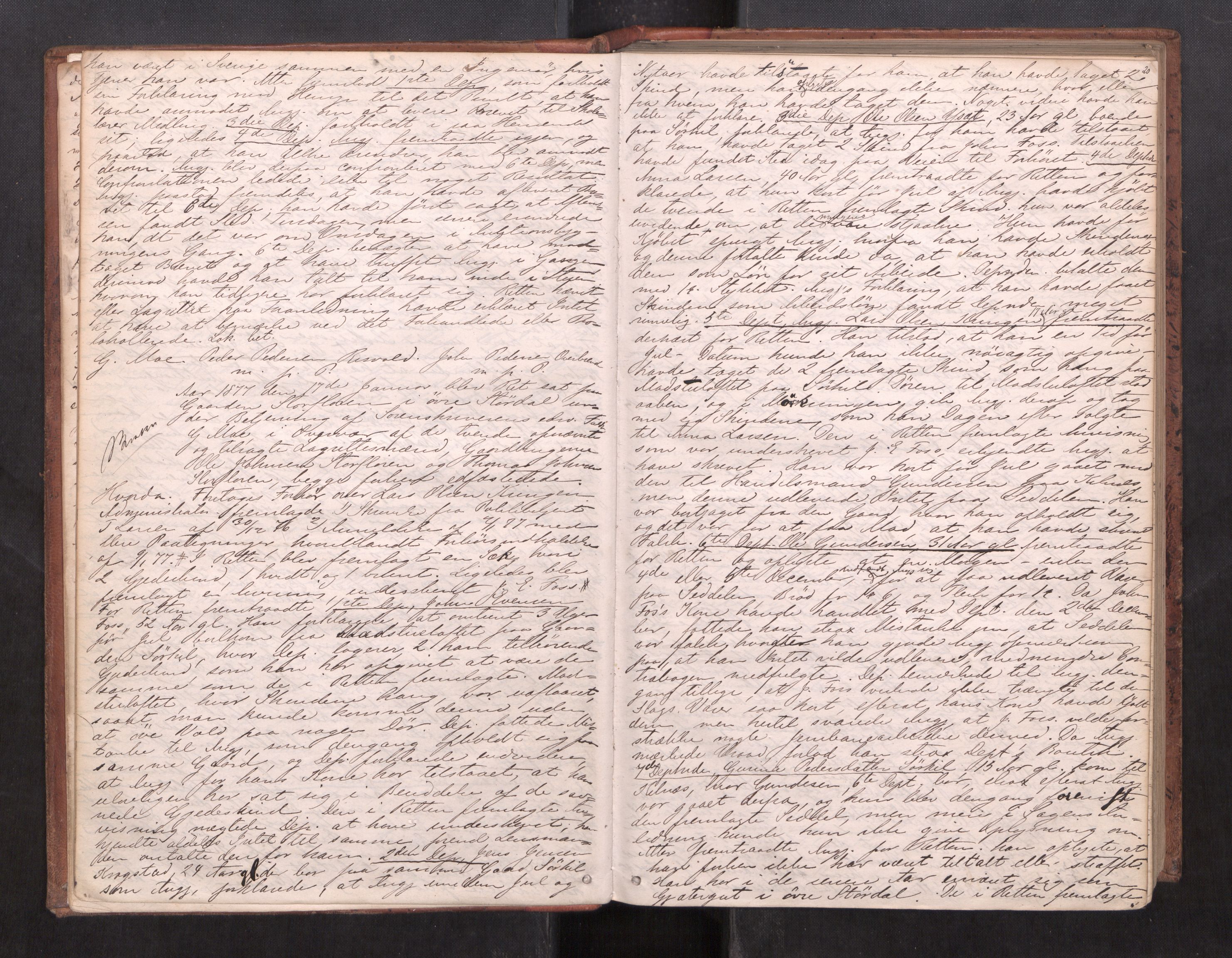 Stjør- og Verdal sorenskriveri, AV/SAT-A-4167/1/1/1B/L0029: Ekstrarettsprotokoll, 1876-1887, p. 19b-20a