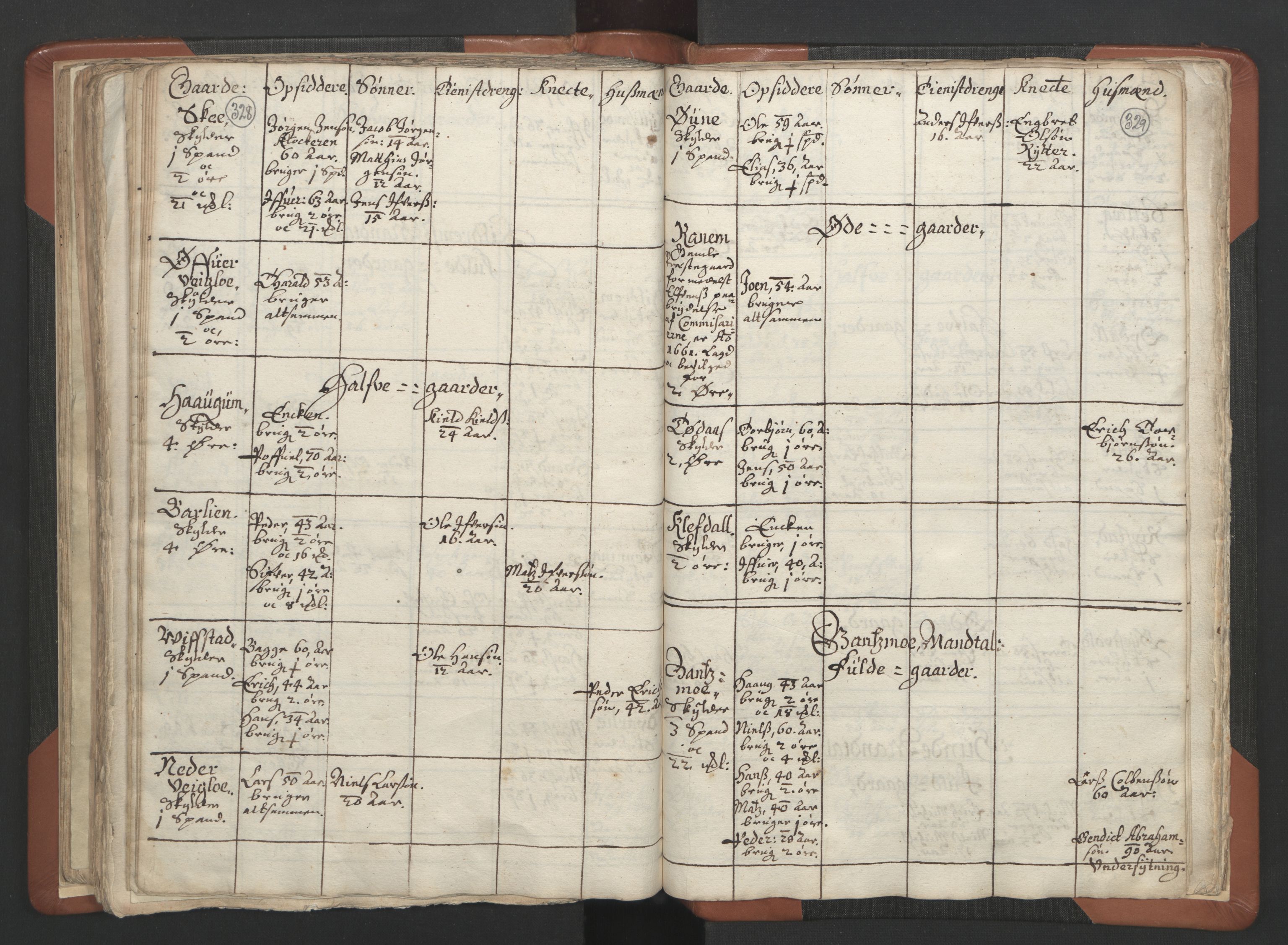 RA, Vicar's Census 1664-1666, no. 34: Namdal deanery, 1664-1666, p. 328-329