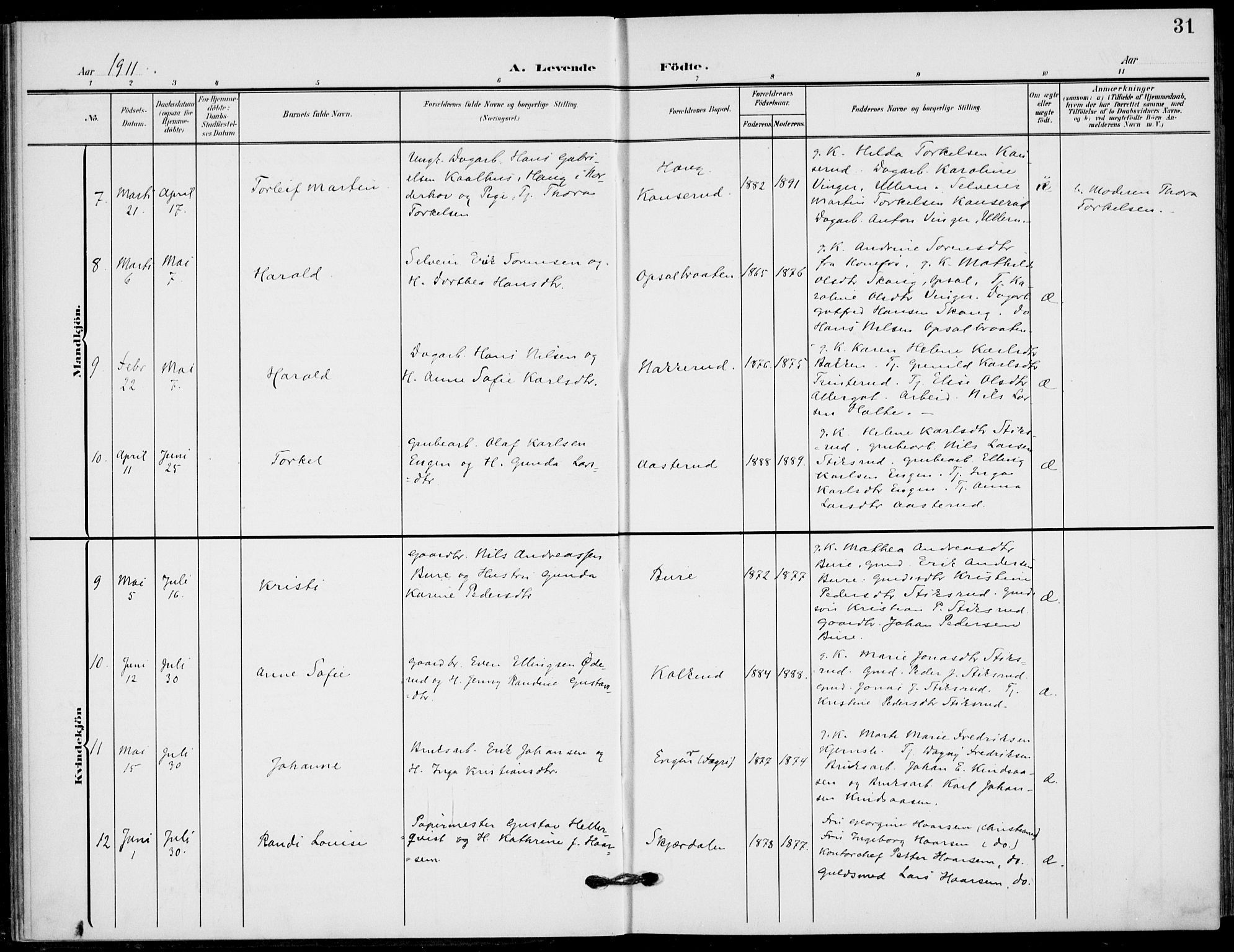 Hole kirkebøker, SAKO/A-228/F/Fb/L0003: Parish register (official) no. II 3, 1906-1916, p. 31