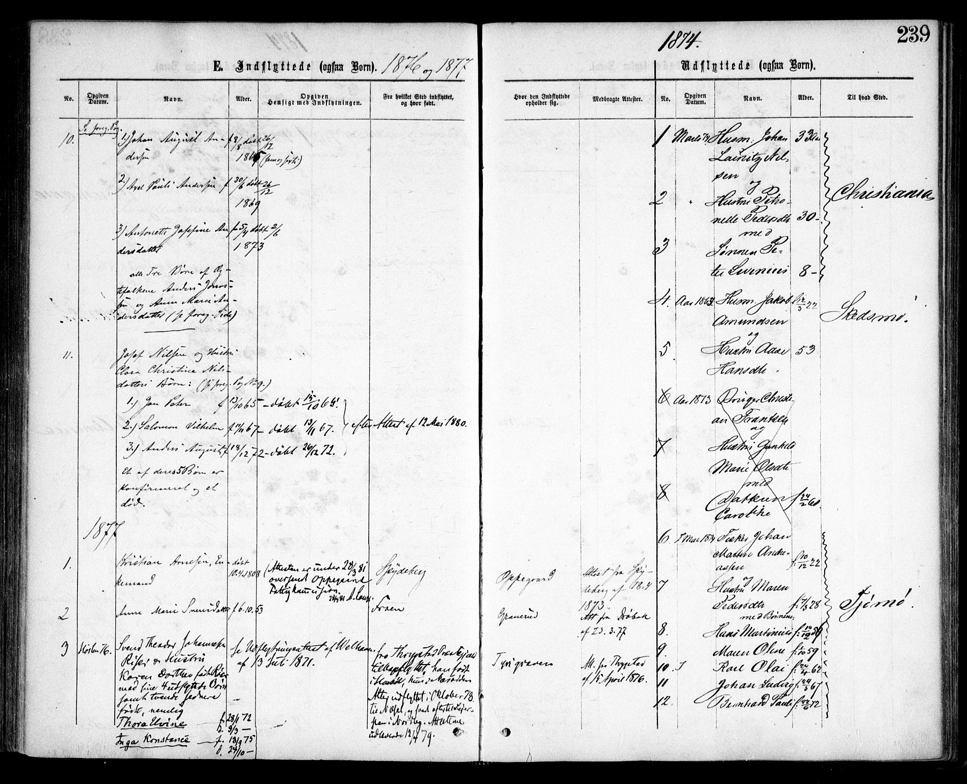 Nesodden prestekontor Kirkebøker, SAO/A-10013/F/Fa/L0008: Parish register (official) no. I 8, 1869-1879, p. 239