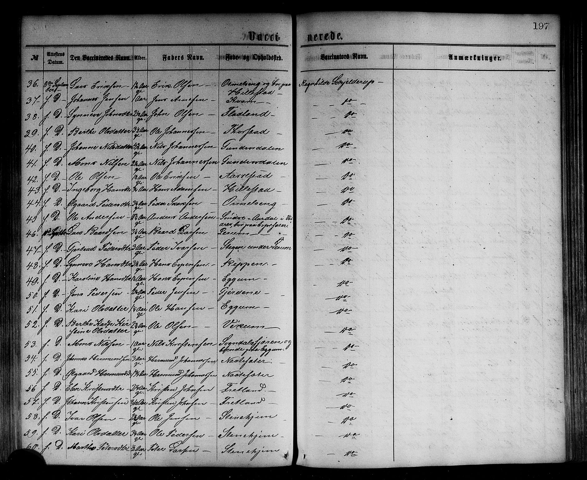 Sogndal sokneprestembete, AV/SAB-A-81301/H/Haa/Haaa/L0014: Parish register (official) no. A 14, 1864-1877, p. 197