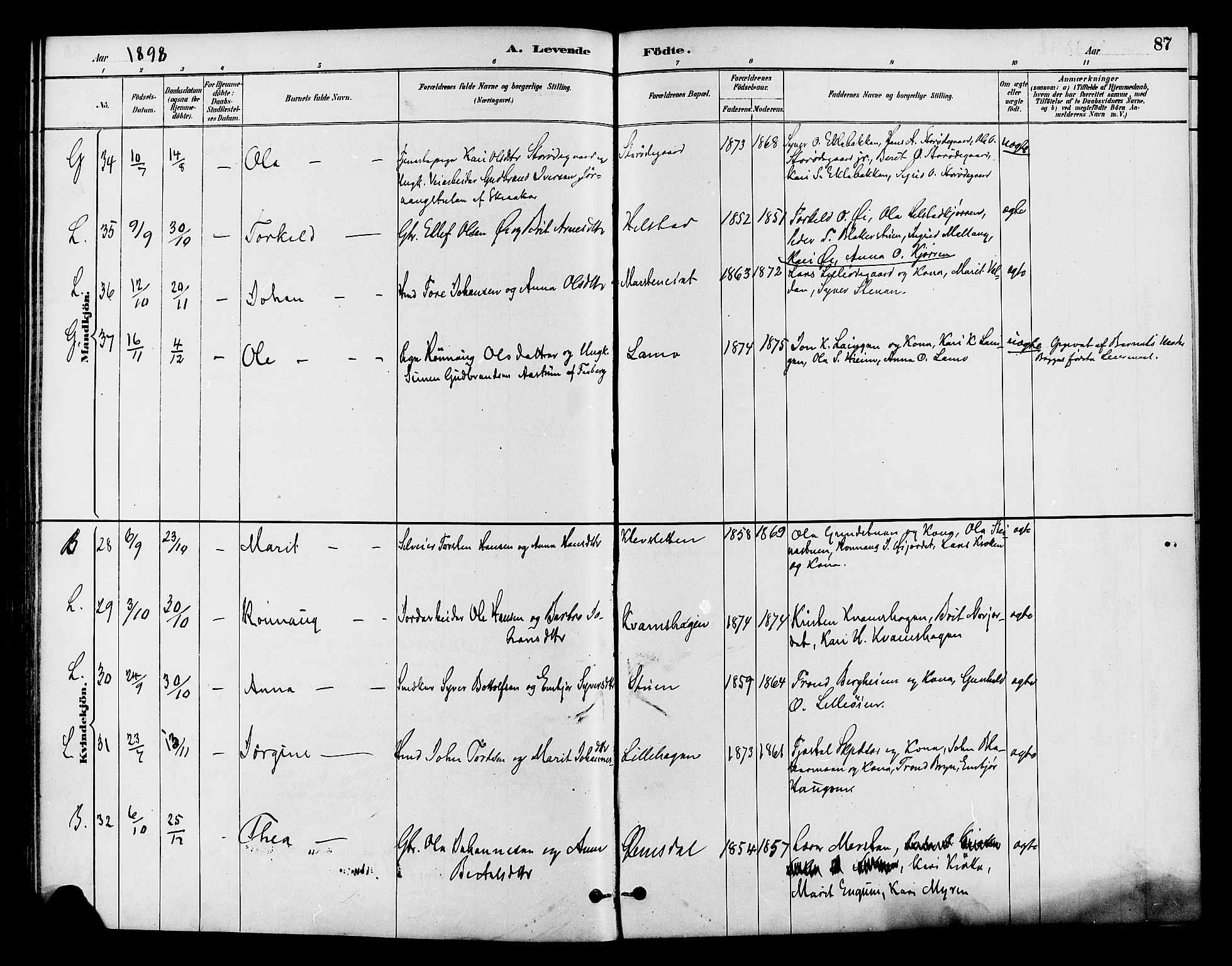 Lom prestekontor, AV/SAH-PREST-070/K/L0008: Parish register (official) no. 8, 1885-1898, p. 87