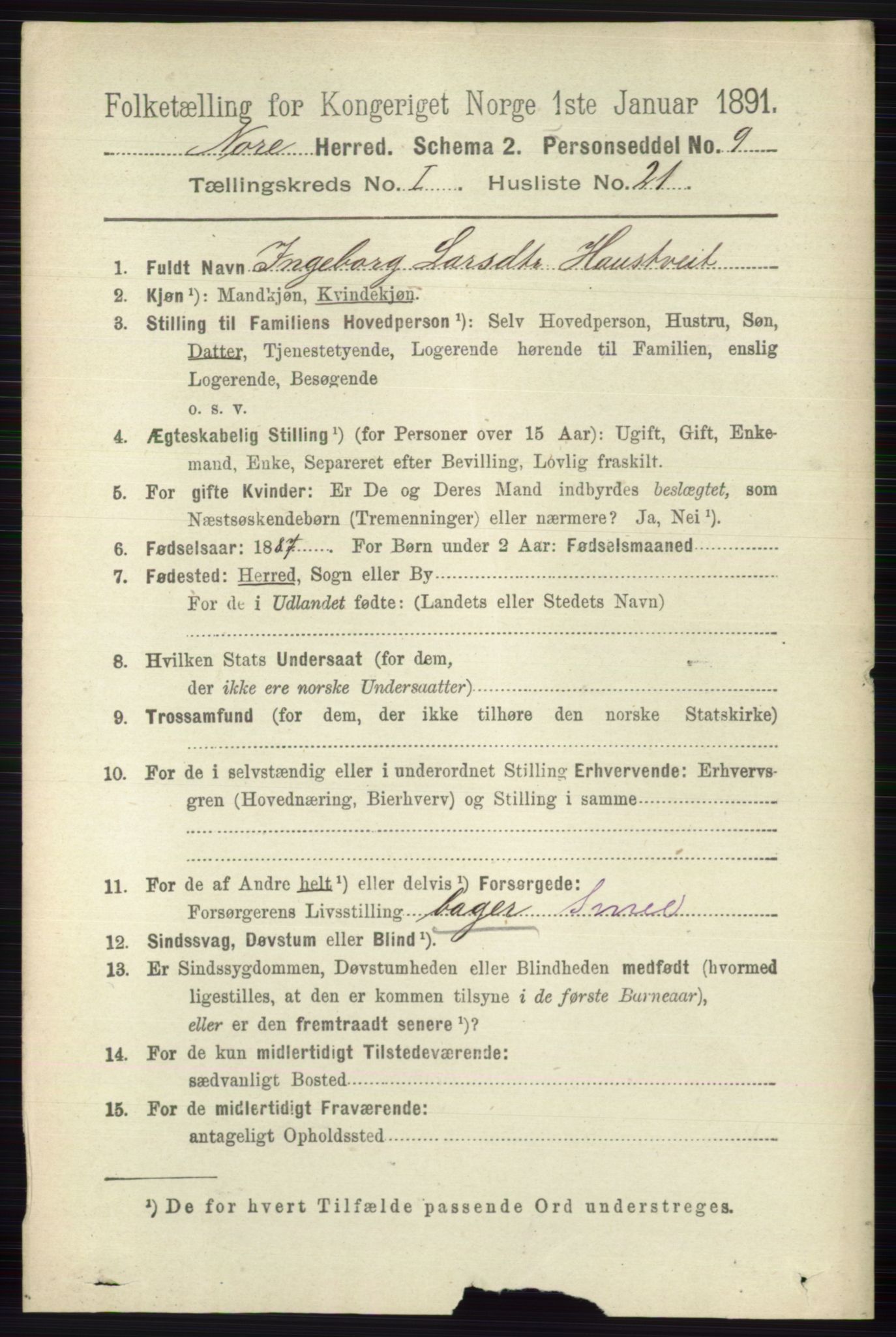 RA, 1891 census for 0633 Nore, 1891, p. 173