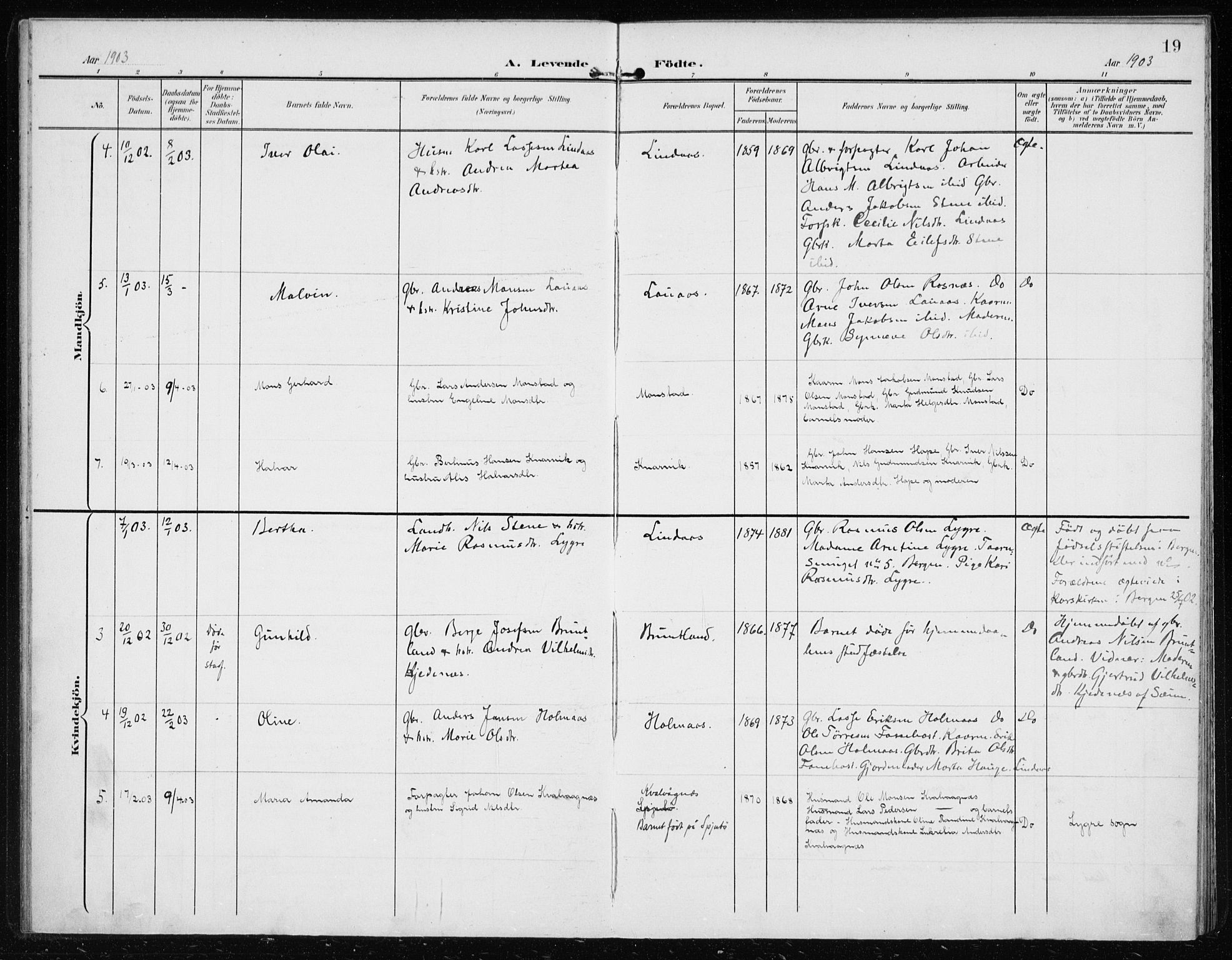 Lindås Sokneprestembete, AV/SAB-A-76701/H/Haa/Haab/L0002: Parish register (official) no. B 2, 1900-1912, p. 19