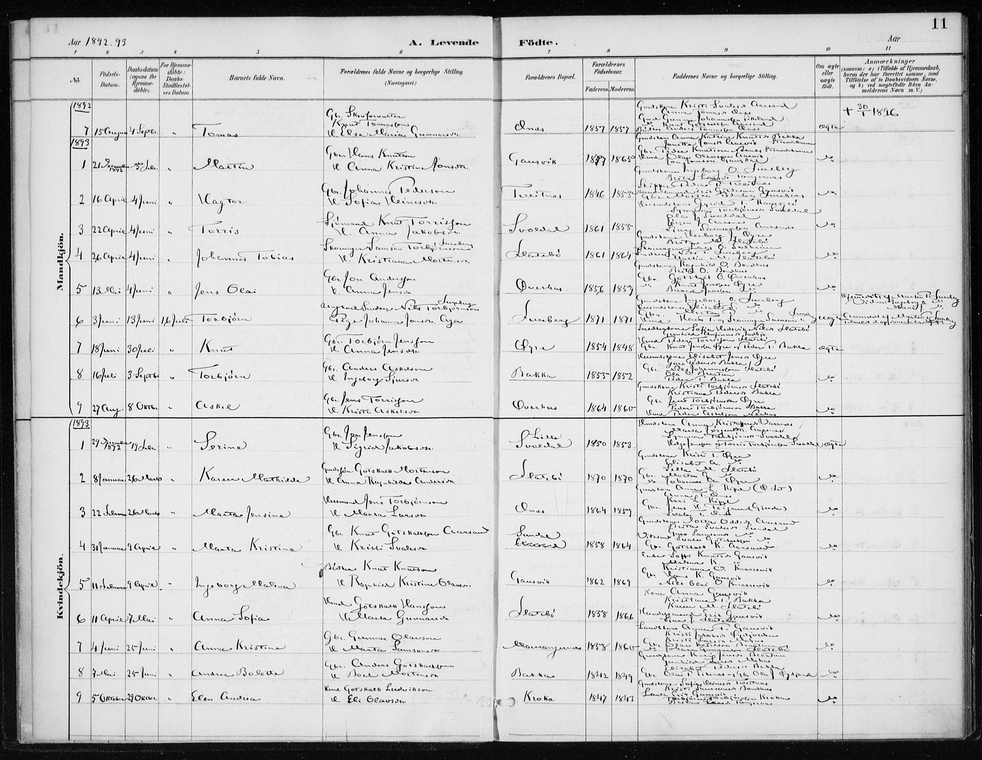 Kvinnherad sokneprestembete, AV/SAB-A-76401/H/Haa: Parish register (official) no. F 1, 1887-1912, p. 11