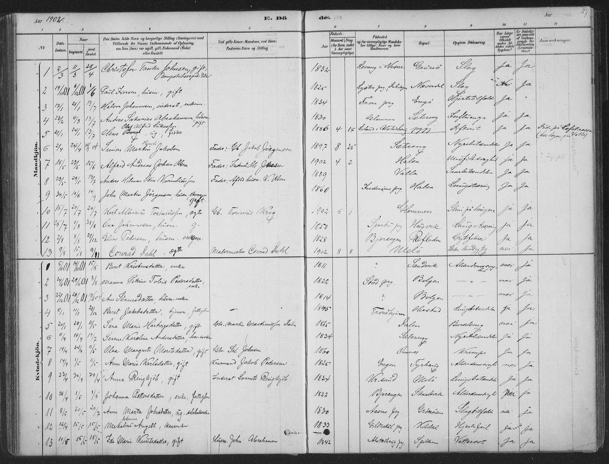 Ministerialprotokoller, klokkerbøker og fødselsregistre - Nordland, SAT/A-1459/843/L0627: Parish register (official) no. 843A02, 1878-1908, p. 117