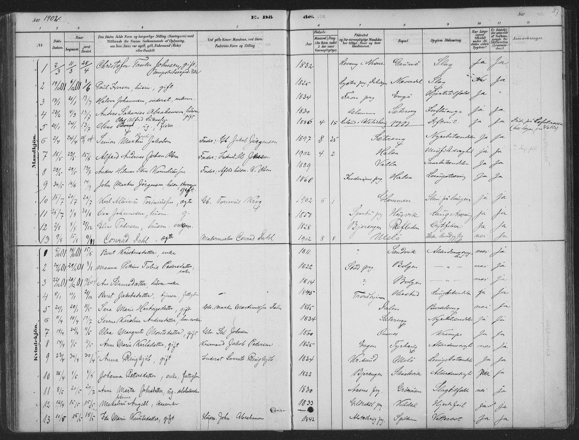 Ministerialprotokoller, klokkerbøker og fødselsregistre - Nordland, AV/SAT-A-1459/843/L0627: Parish register (official) no. 843A02, 1878-1908, p. 117