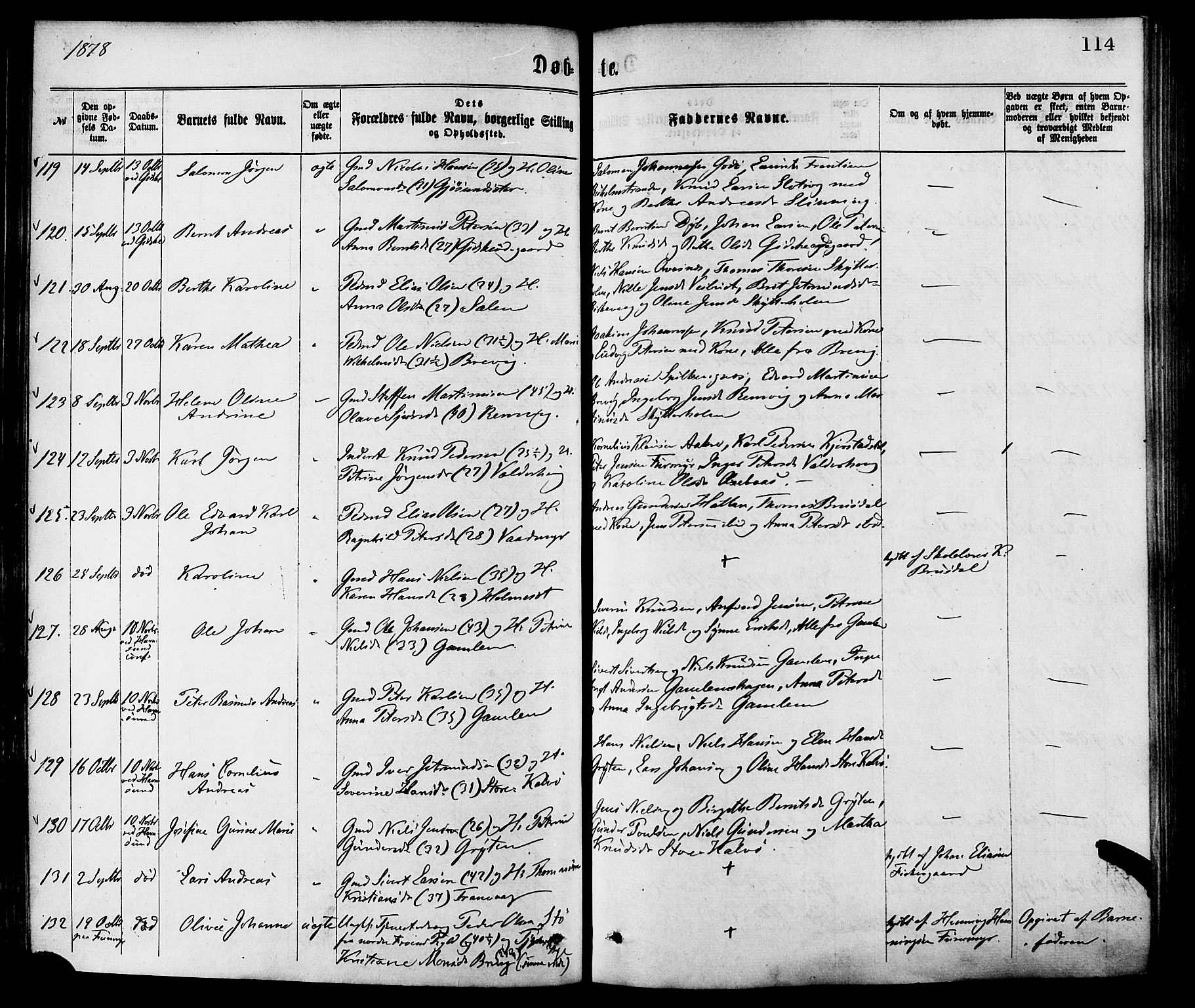 Ministerialprotokoller, klokkerbøker og fødselsregistre - Møre og Romsdal, AV/SAT-A-1454/528/L0400: Parish register (official) no. 528A11, 1871-1879, p. 114