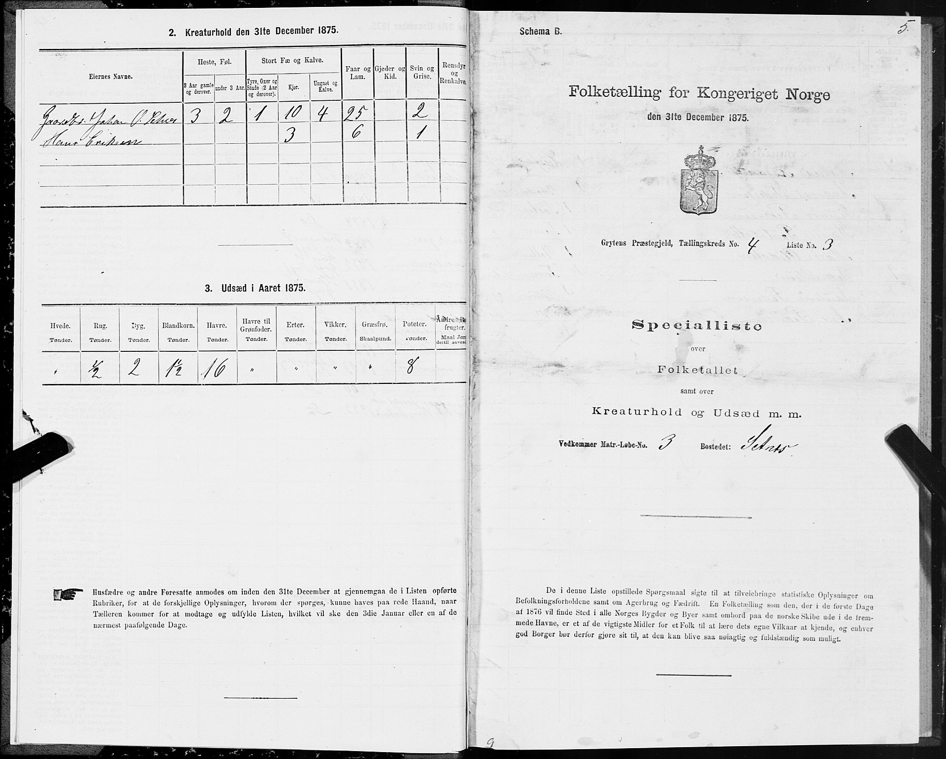 SAT, 1875 census for 1539P Grytten, 1875, p. 2005