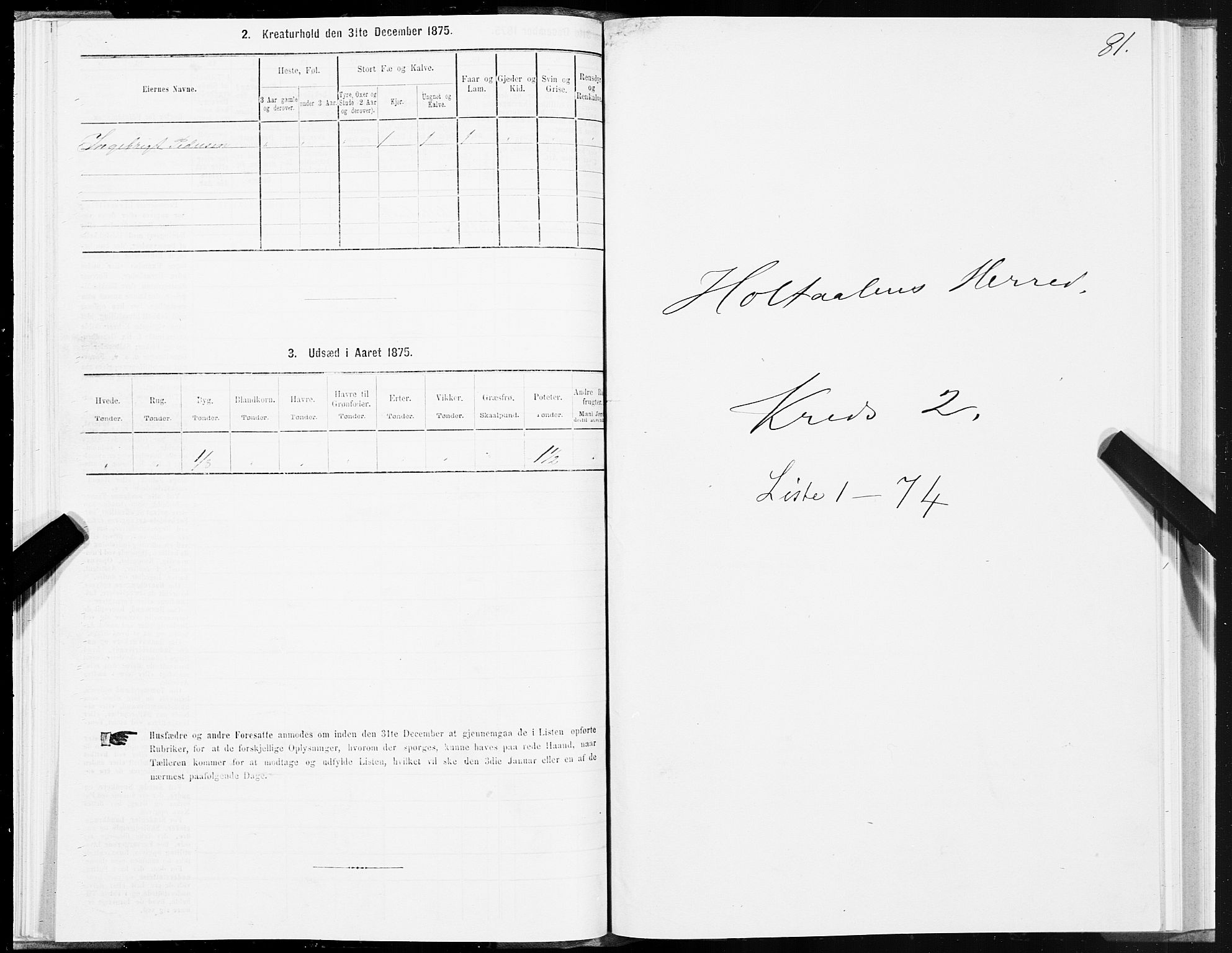 SAT, 1875 census for 1645P Haltdalen, 1875, p. 1081