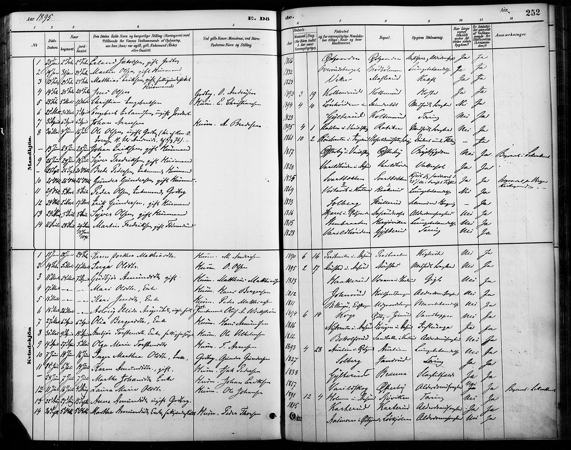 Vinger prestekontor, AV/SAH-PREST-024/H/Ha/Haa/L0015: Parish register (official) no. 15, 1881-1900, p. 252