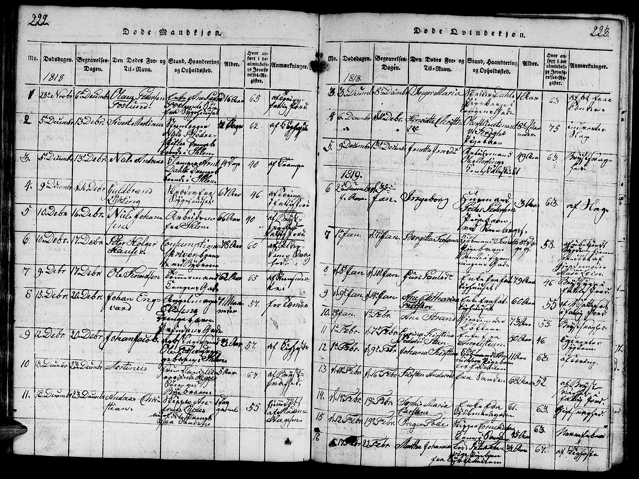 Ministerialprotokoller, klokkerbøker og fødselsregistre - Sør-Trøndelag, SAT/A-1456/601/L0043: Parish register (official) no. 601A11, 1815-1821, p. 222-223