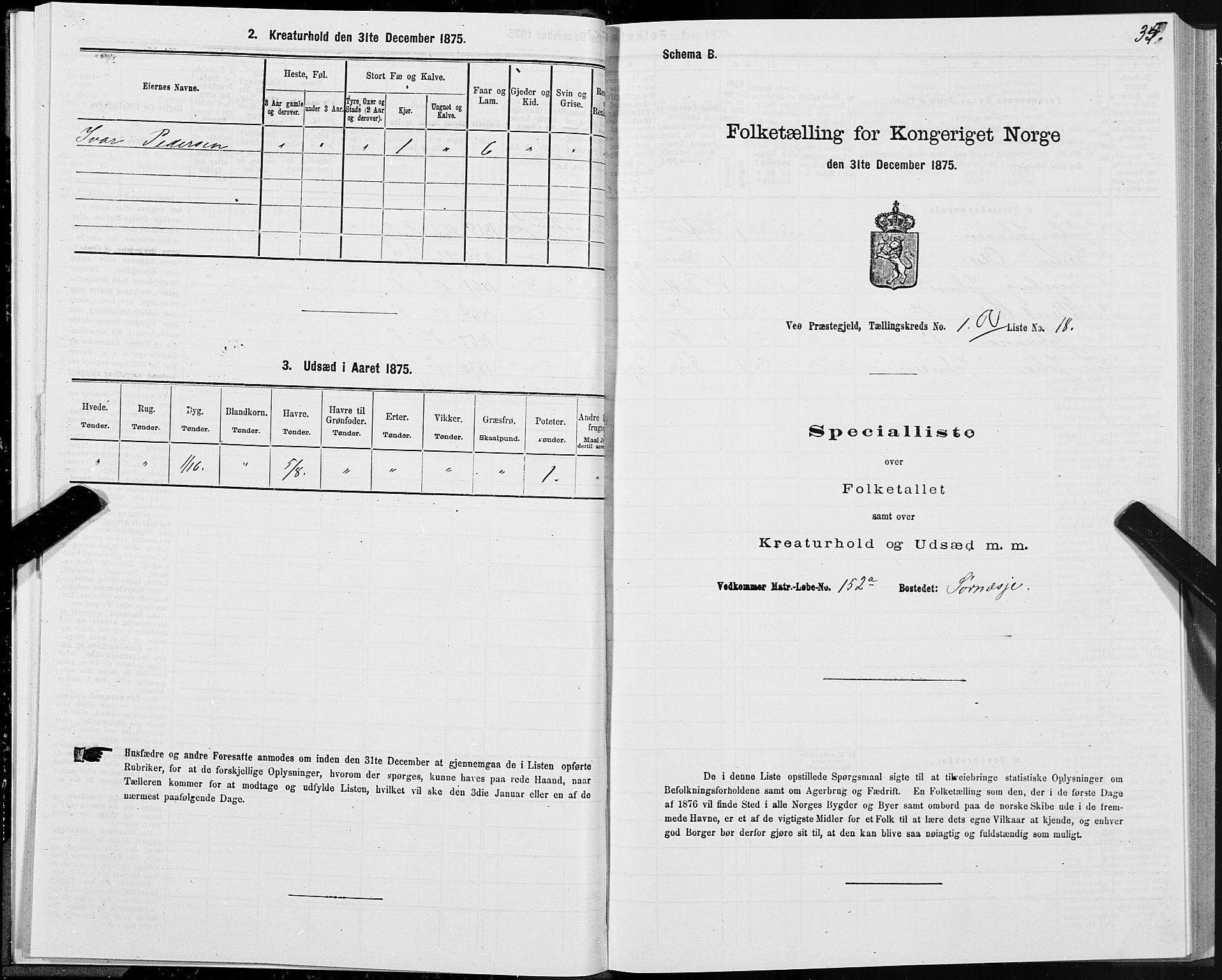 SAT, 1875 census for 1541P Veøy, 1875, p. 1035