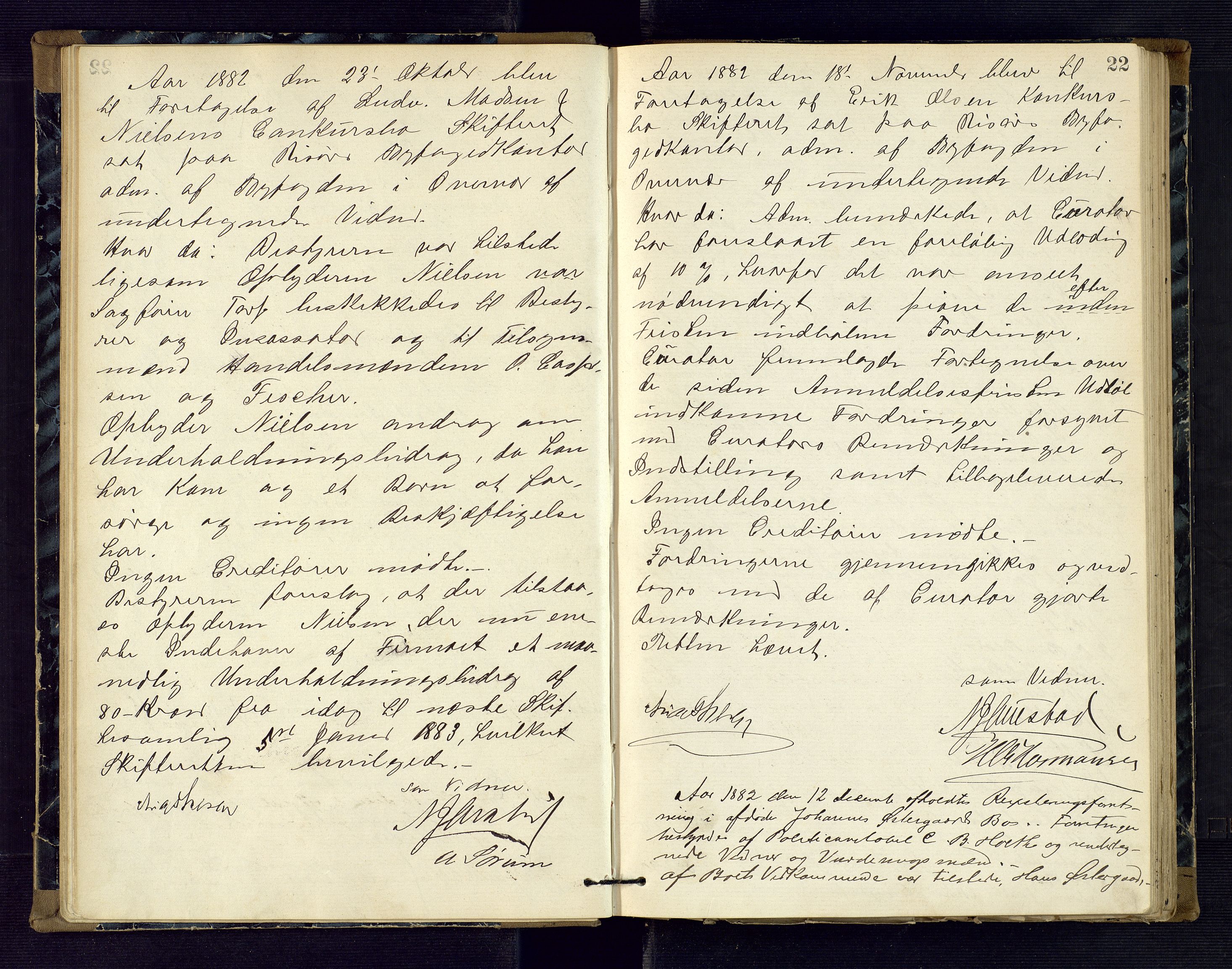 Risør byfogd, AV/SAK-1222-0005/H/Hc/L0004: Skifteprotokoll nr. 3B, 1882-1886, p. 22