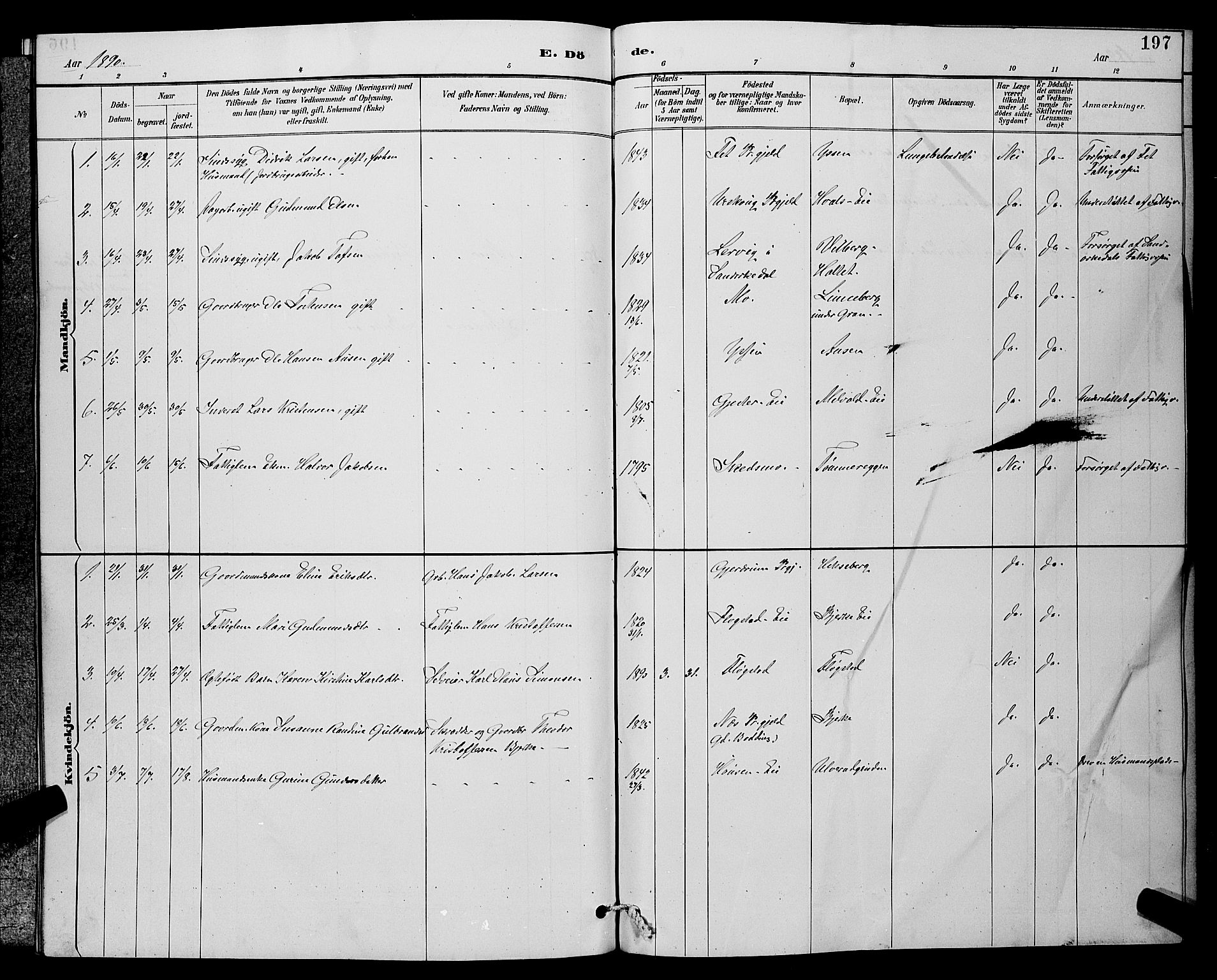 Sørum prestekontor Kirkebøker, AV/SAO-A-10303/G/Ga/L0005: Parish register (copy) no. I 5.2, 1886-1894, p. 197