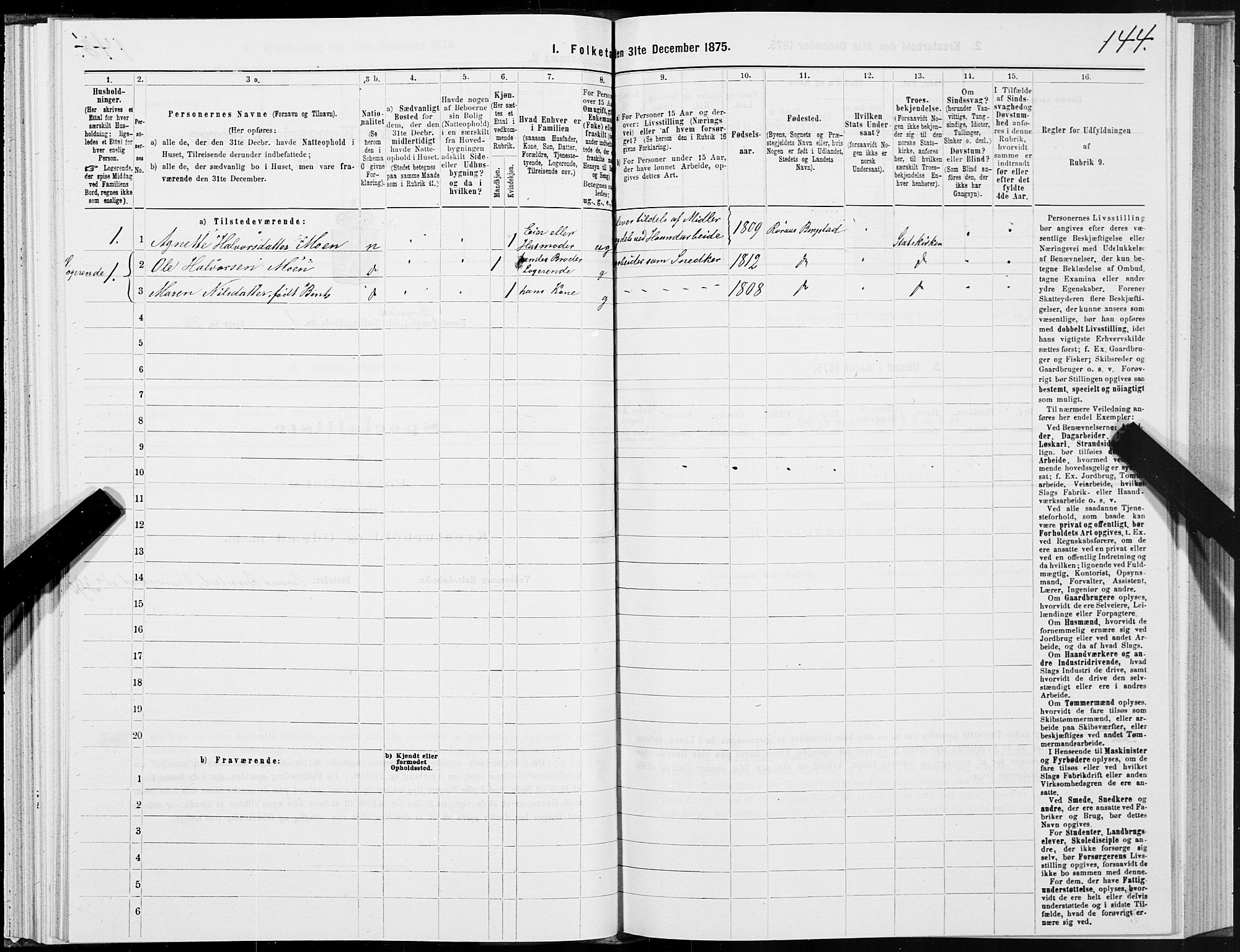 SAT, 1875 census for 1640P Røros, 1875, p. 1144