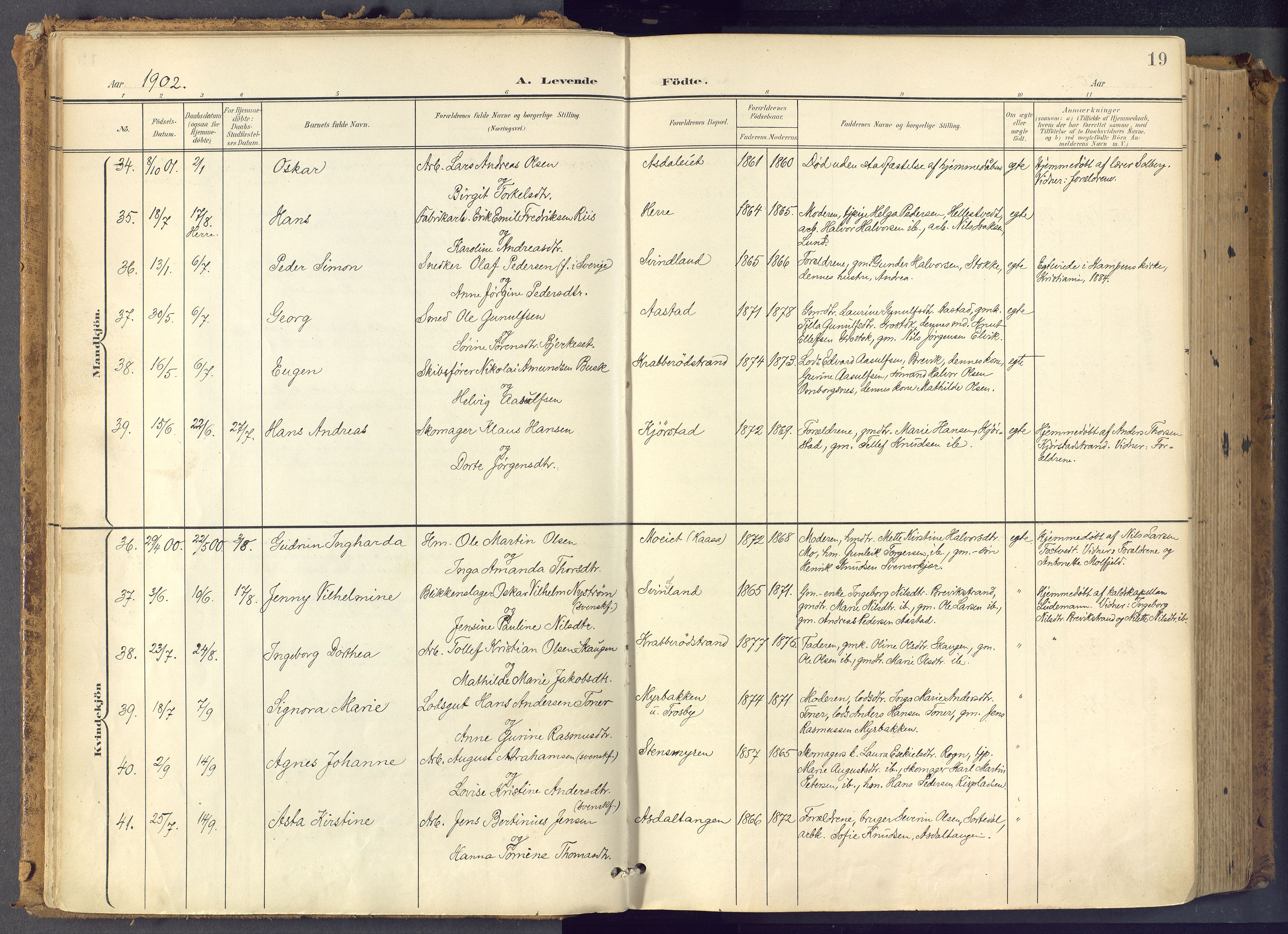 Bamble kirkebøker, SAKO/A-253/F/Fa/L0009: Parish register (official) no. I 9, 1901-1917, p. 19