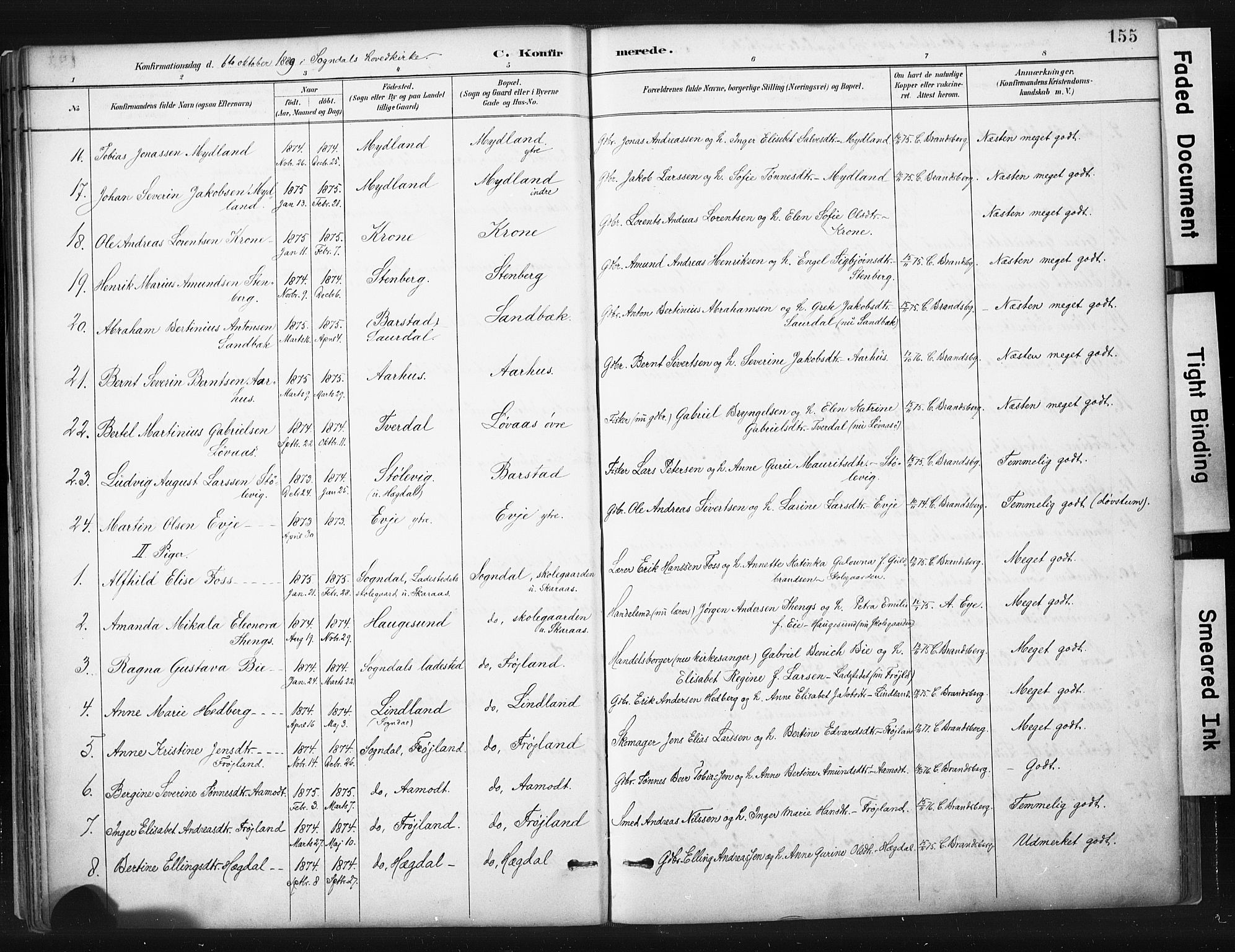 Sokndal sokneprestkontor, AV/SAST-A-101808: Parish register (official) no. A 11.1, 1887-1905, p. 155