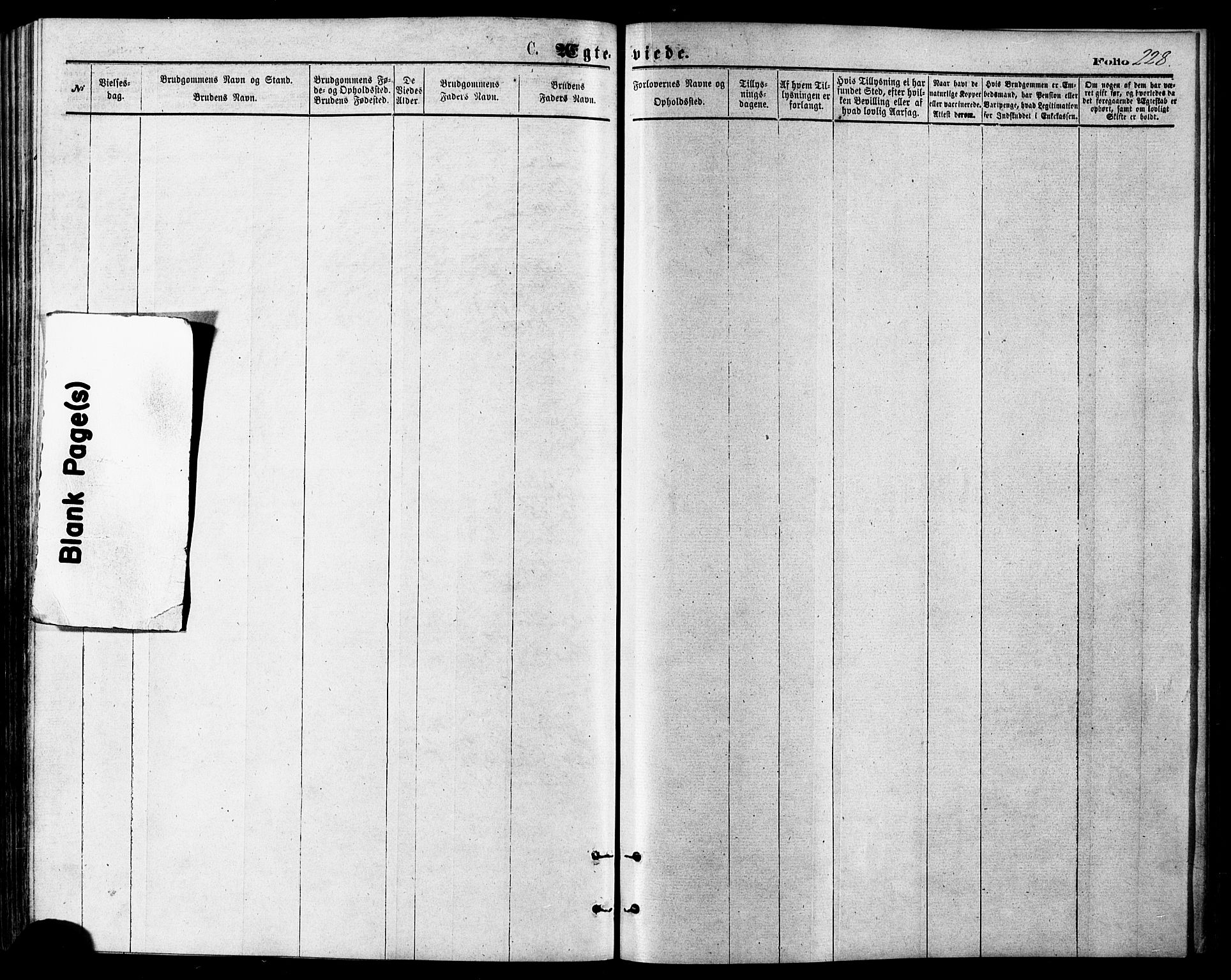 Målselv sokneprestembete, SATØ/S-1311/G/Ga/Gaa/L0005kirke: Parish register (official) no. 5, 1872-1884, p. 228