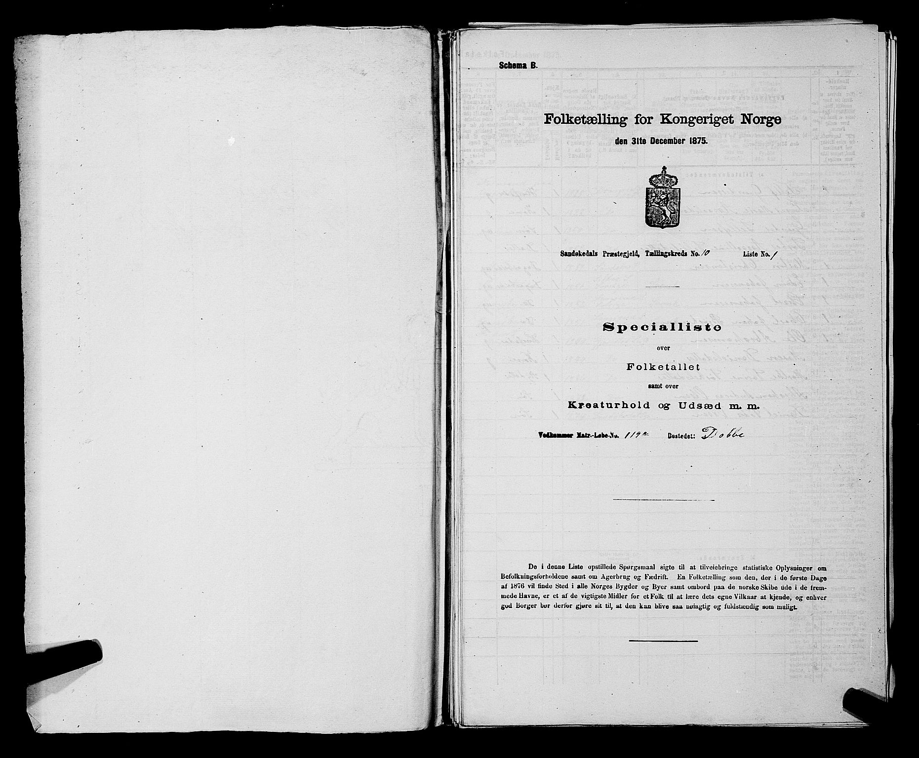 SAKO, 1875 census for 0816P Sannidal, 1875, p. 698