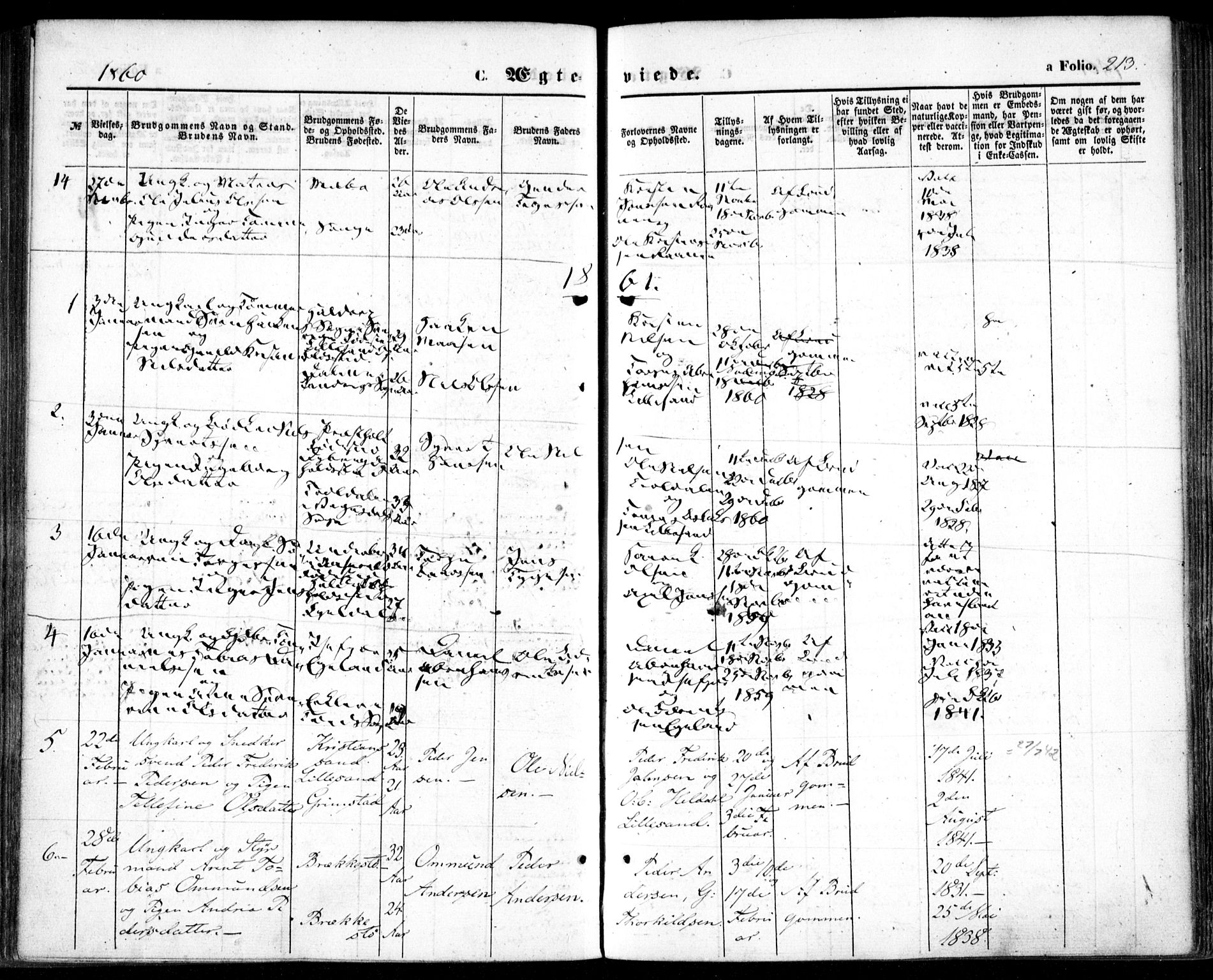 Vestre Moland sokneprestkontor, SAK/1111-0046/F/Fa/Fab/L0007: Parish register (official) no. A 7, 1859-1872, p. 213