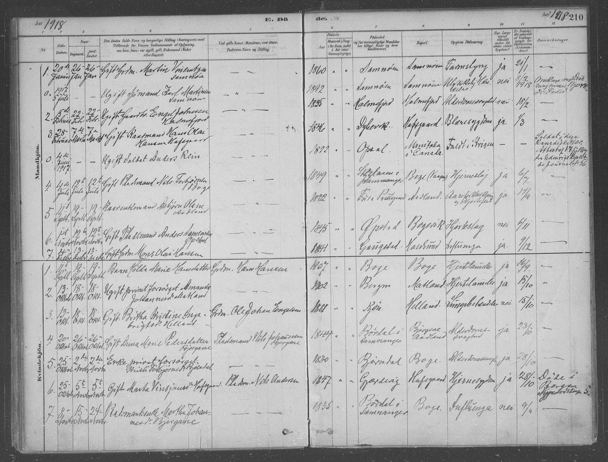 Fusa sokneprestembete, AV/SAB-A-75401/H/Haa: Parish register (official) no. B 1, 1880-1938, p. 210