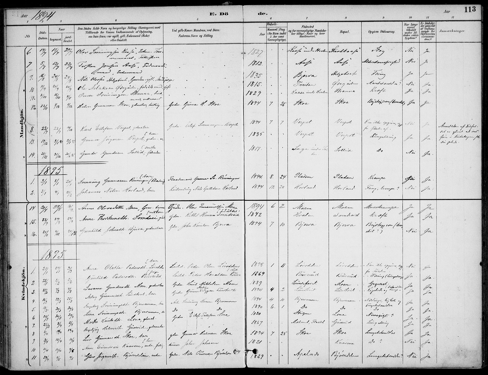 Lunde kirkebøker, SAKO/A-282/F/Fa/L0003: Parish register (official) no. I 3, 1893-1902, p. 113