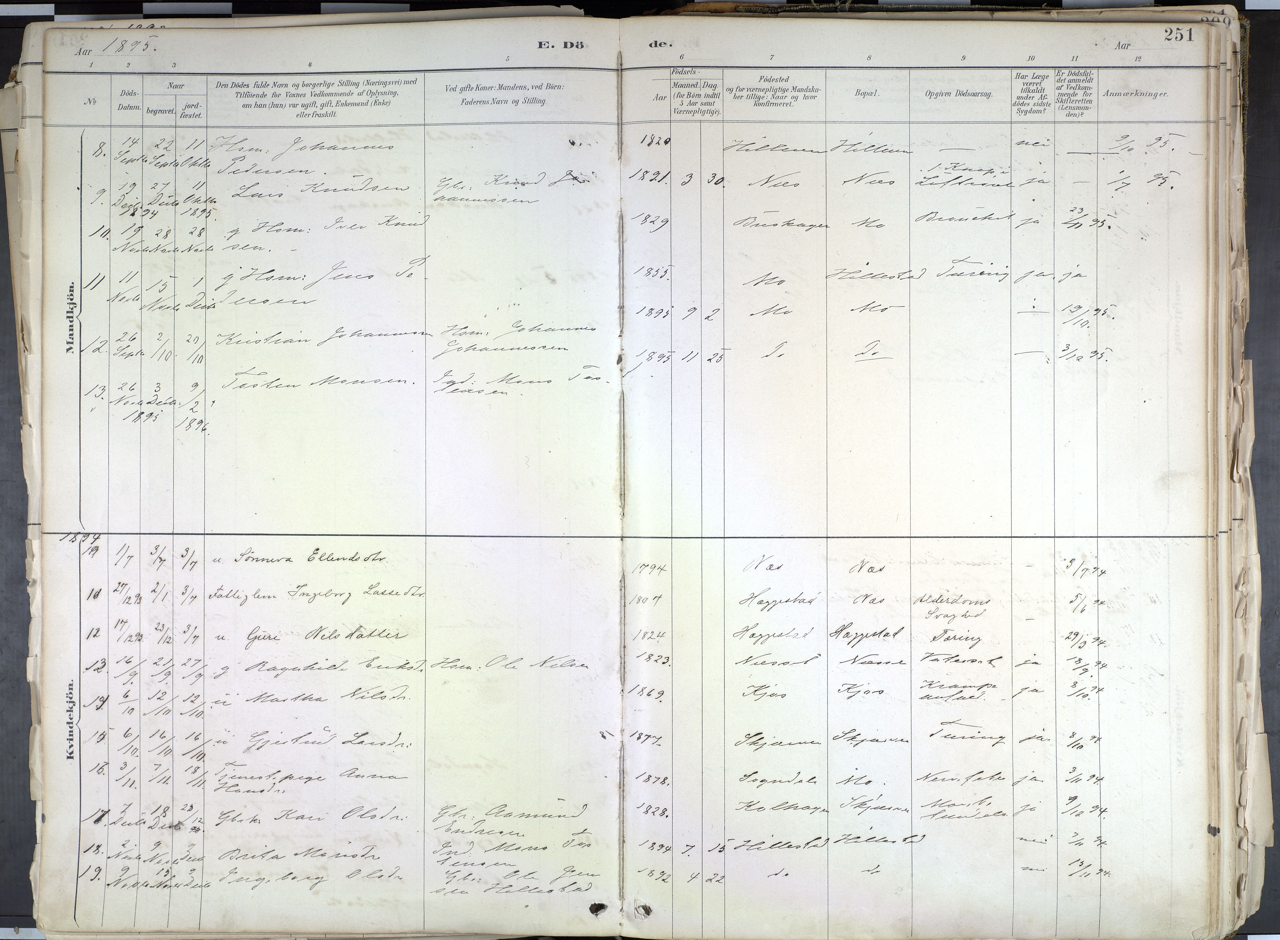 Hafslo sokneprestembete, AV/SAB-A-80301/H/Haa/Haab/L0001: Parish register (official) no. B 1, 1886-1945, p. 251