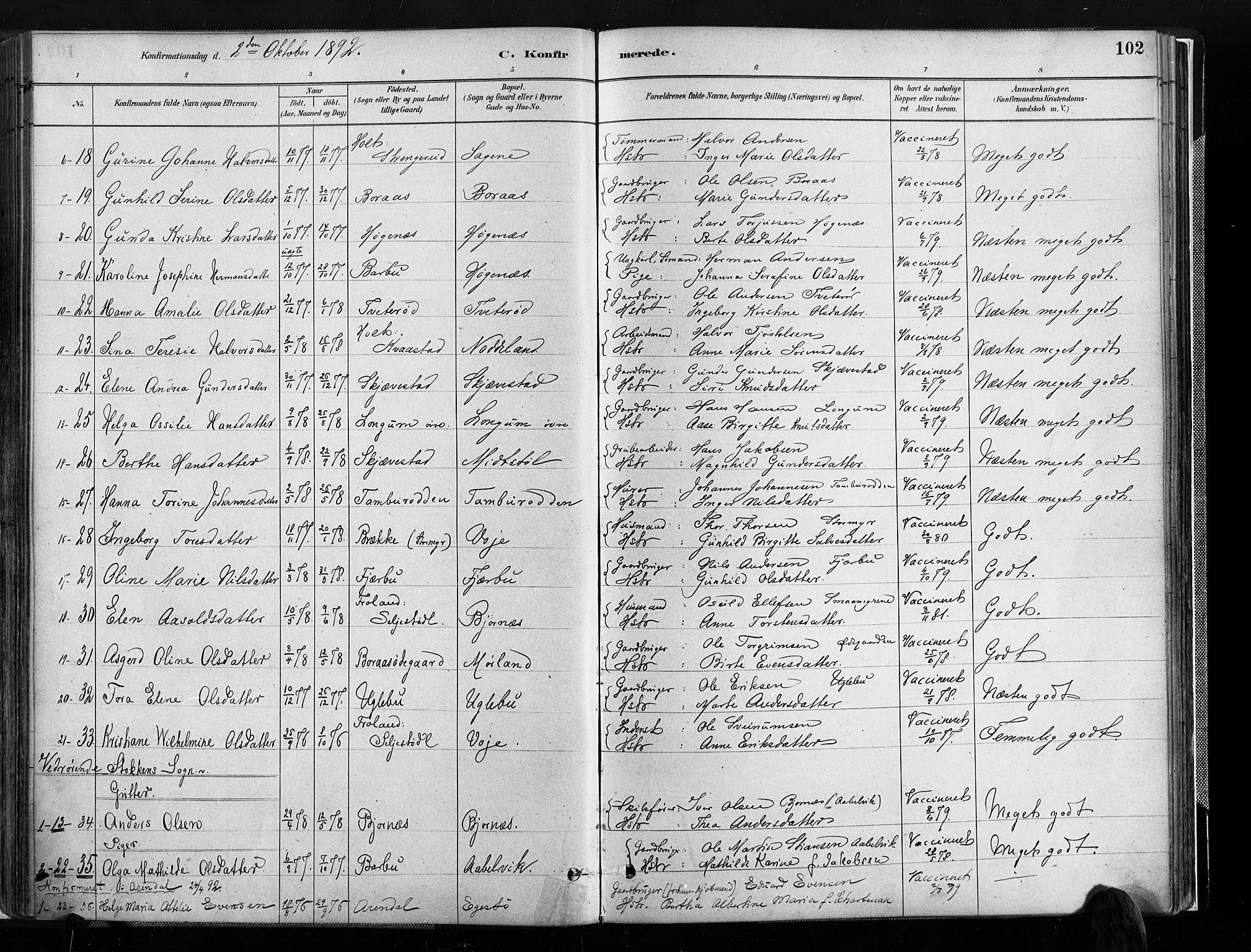 Austre Moland sokneprestkontor, AV/SAK-1111-0001/F/Fa/Faa/L0010: Parish register (official) no. A 10, 1880-1904, p. 102