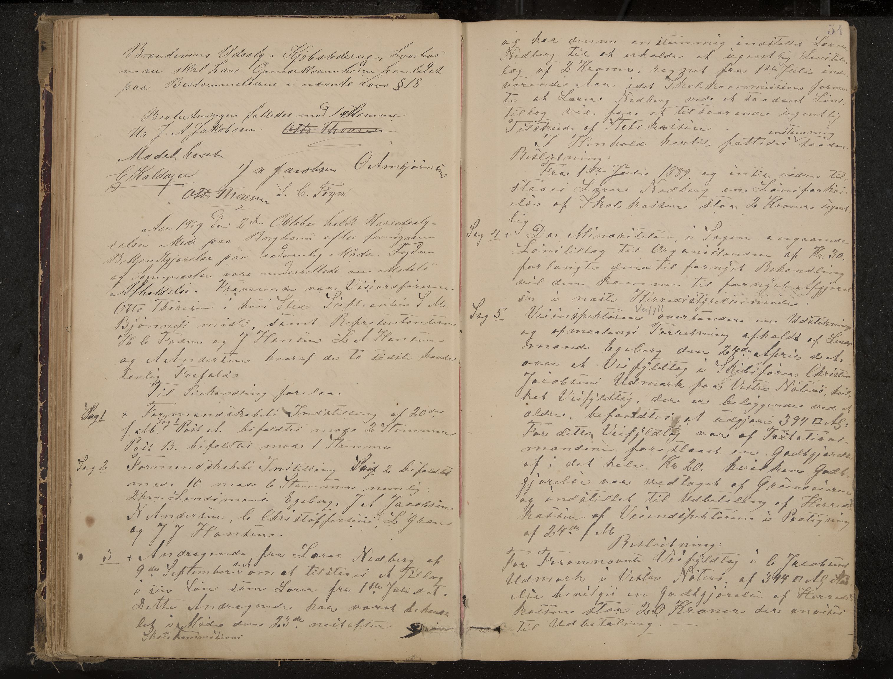 Nøtterøy formannskap og sentraladministrasjon, IKAK/0722021-1/A/Aa/L0004: Møtebok, 1887-1896, p. 54