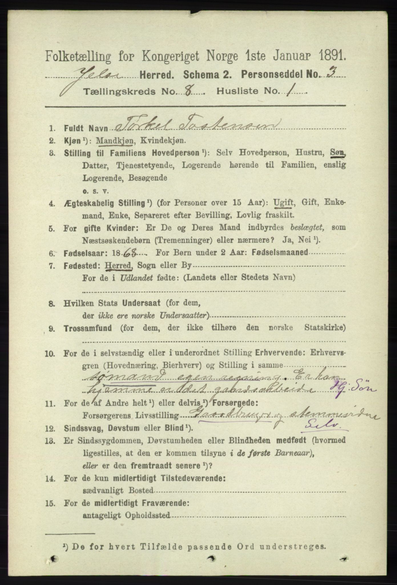 RA, 1891 census for 1138 Jelsa, 1891, p. 1805