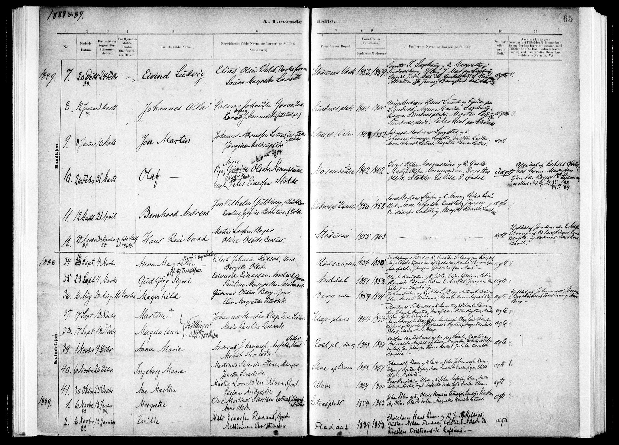 Ministerialprotokoller, klokkerbøker og fødselsregistre - Nord-Trøndelag, SAT/A-1458/730/L0285: Parish register (official) no. 730A10, 1879-1914, p. 65