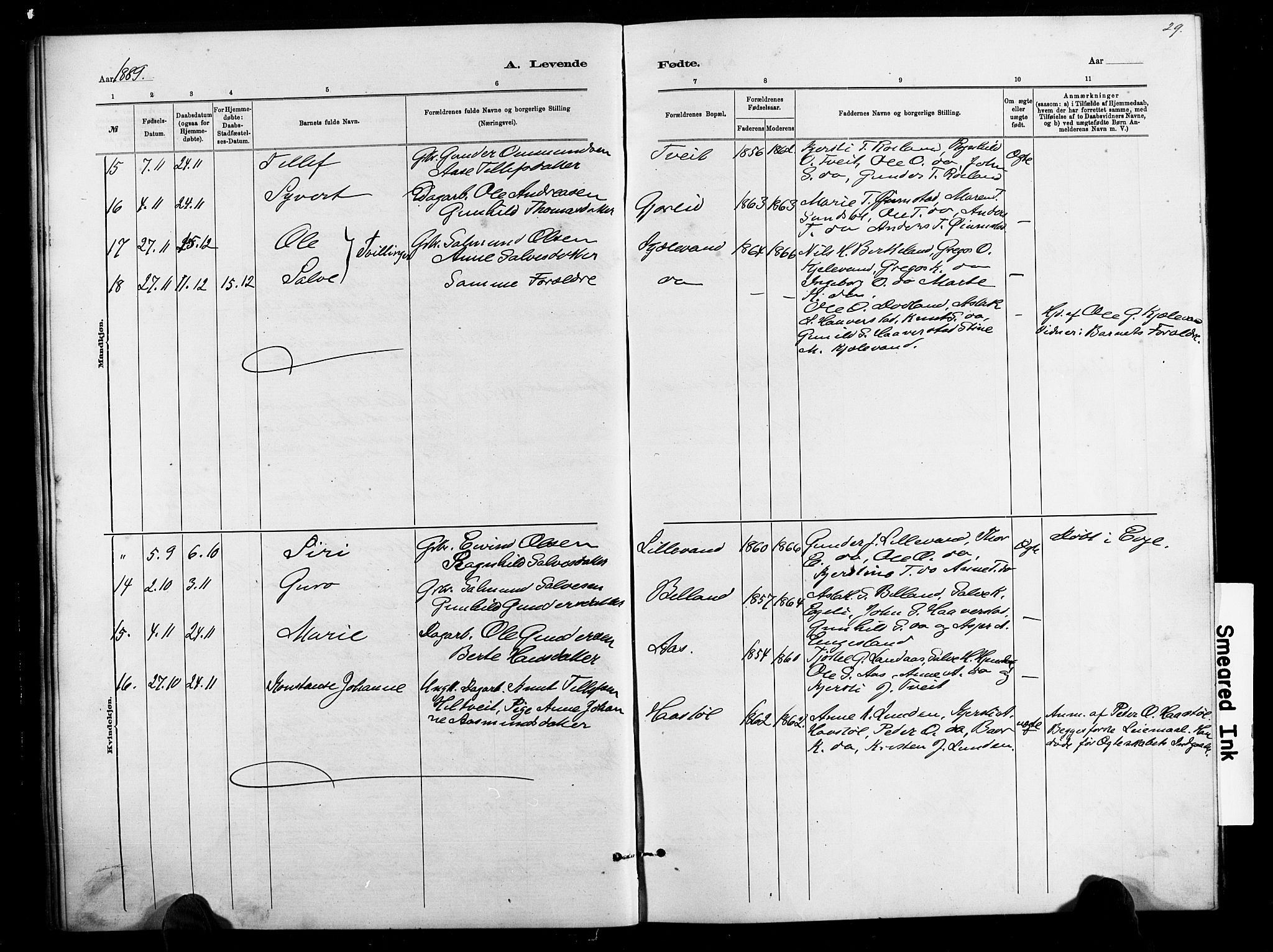 Herefoss sokneprestkontor, AV/SAK-1111-0019/F/Fb/Fbb/L0002: Parish register (copy) no. B 2, 1879-1894, p. 29