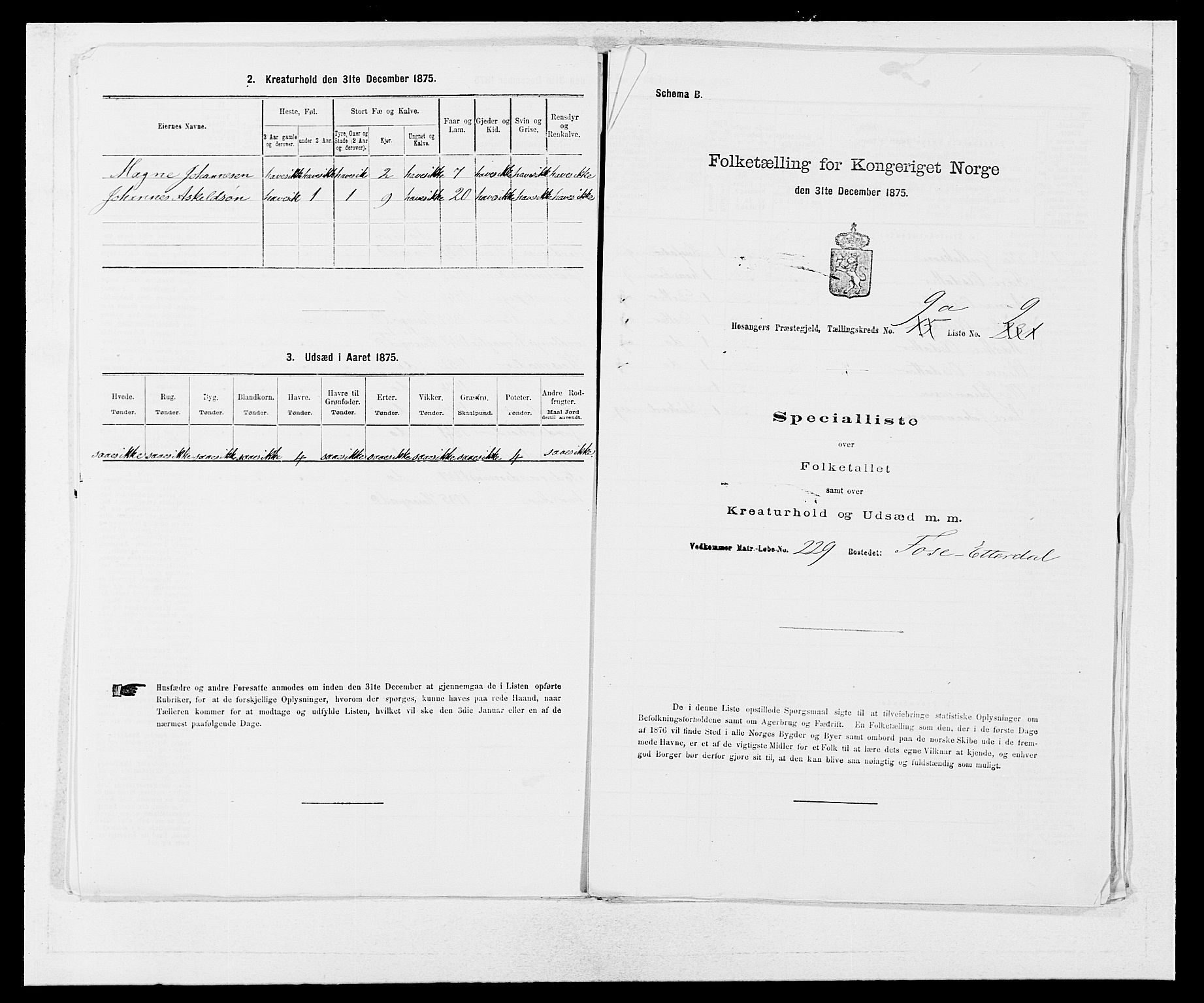 SAB, 1875 census for 1253P Hosanger, 1875, p. 673