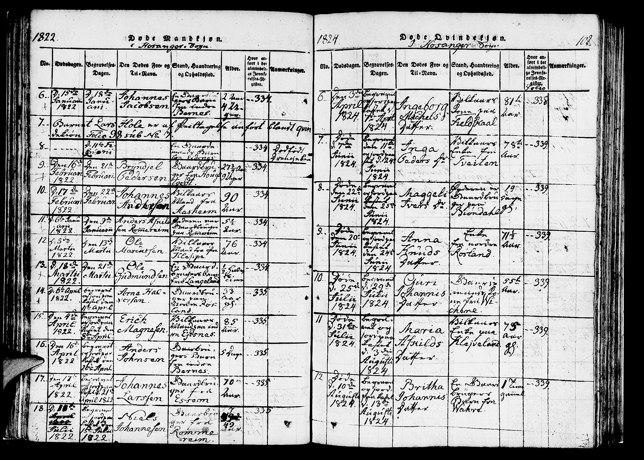 Hosanger sokneprestembete, AV/SAB-A-75801/H/Haa: Parish register (official) no. A 5, 1815-1824, p. 102